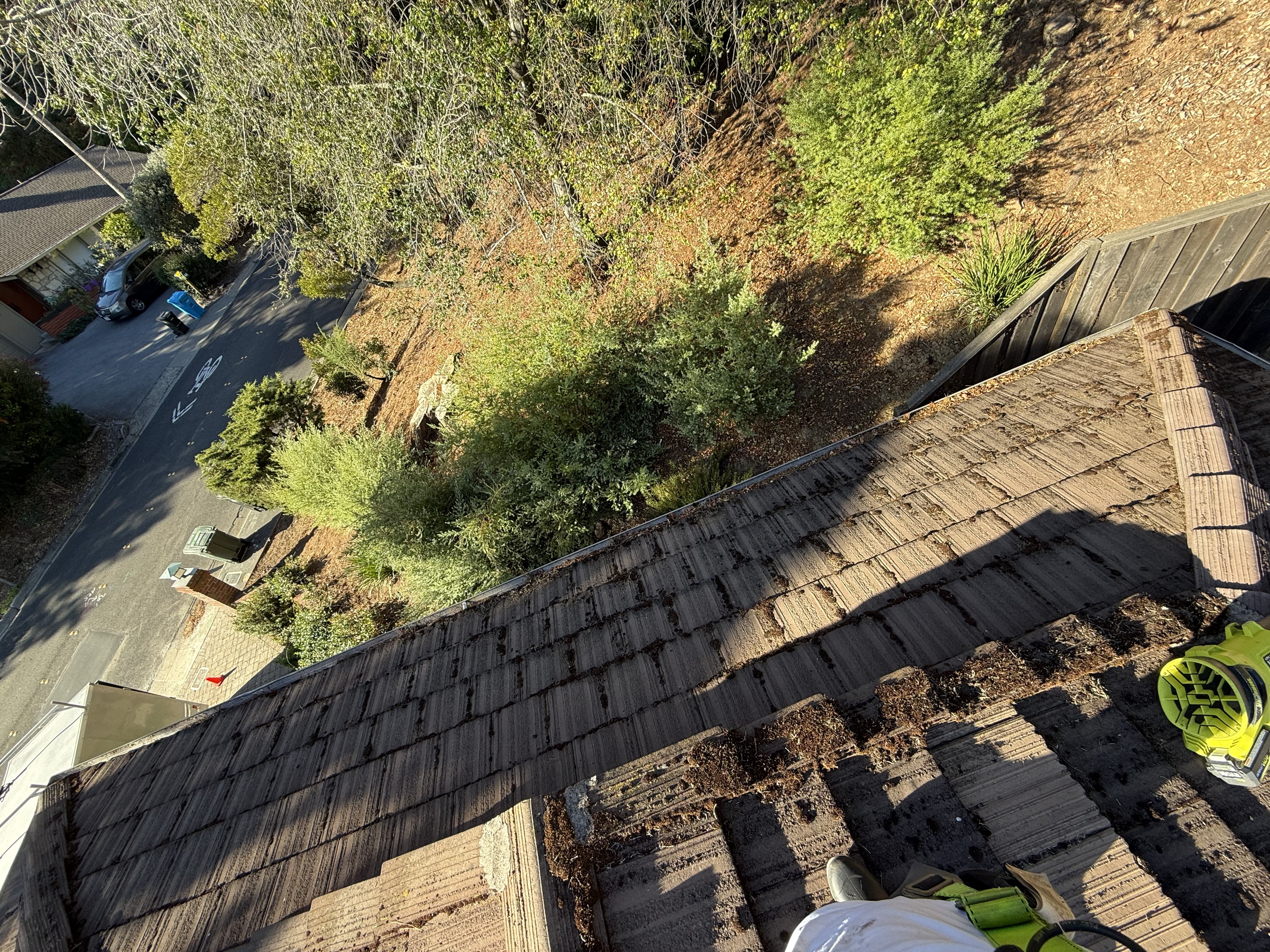 Before — Atherton roof showing biological growth and debris accumulation