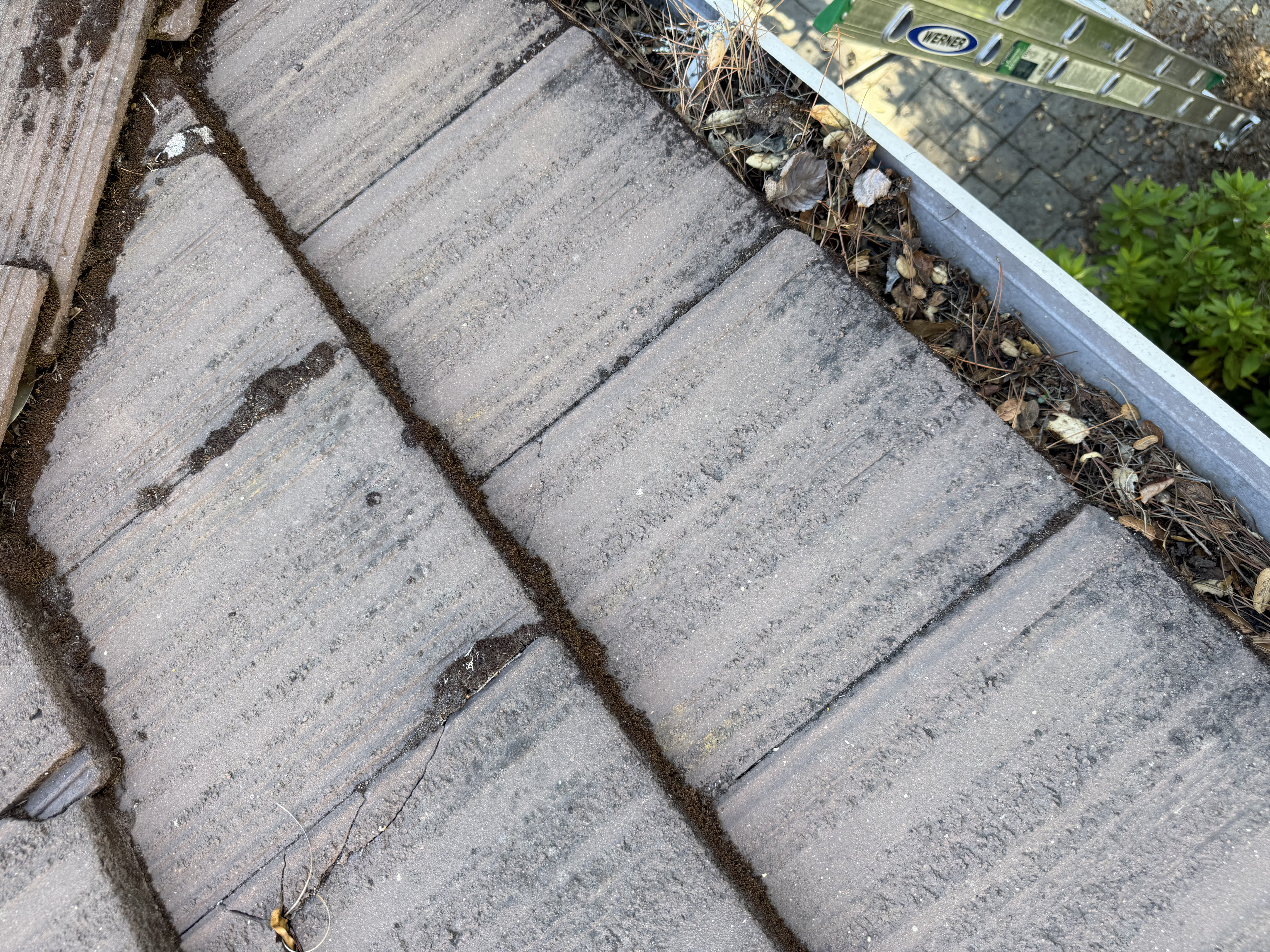Before — Atherton gutters with heavy organic debris before service