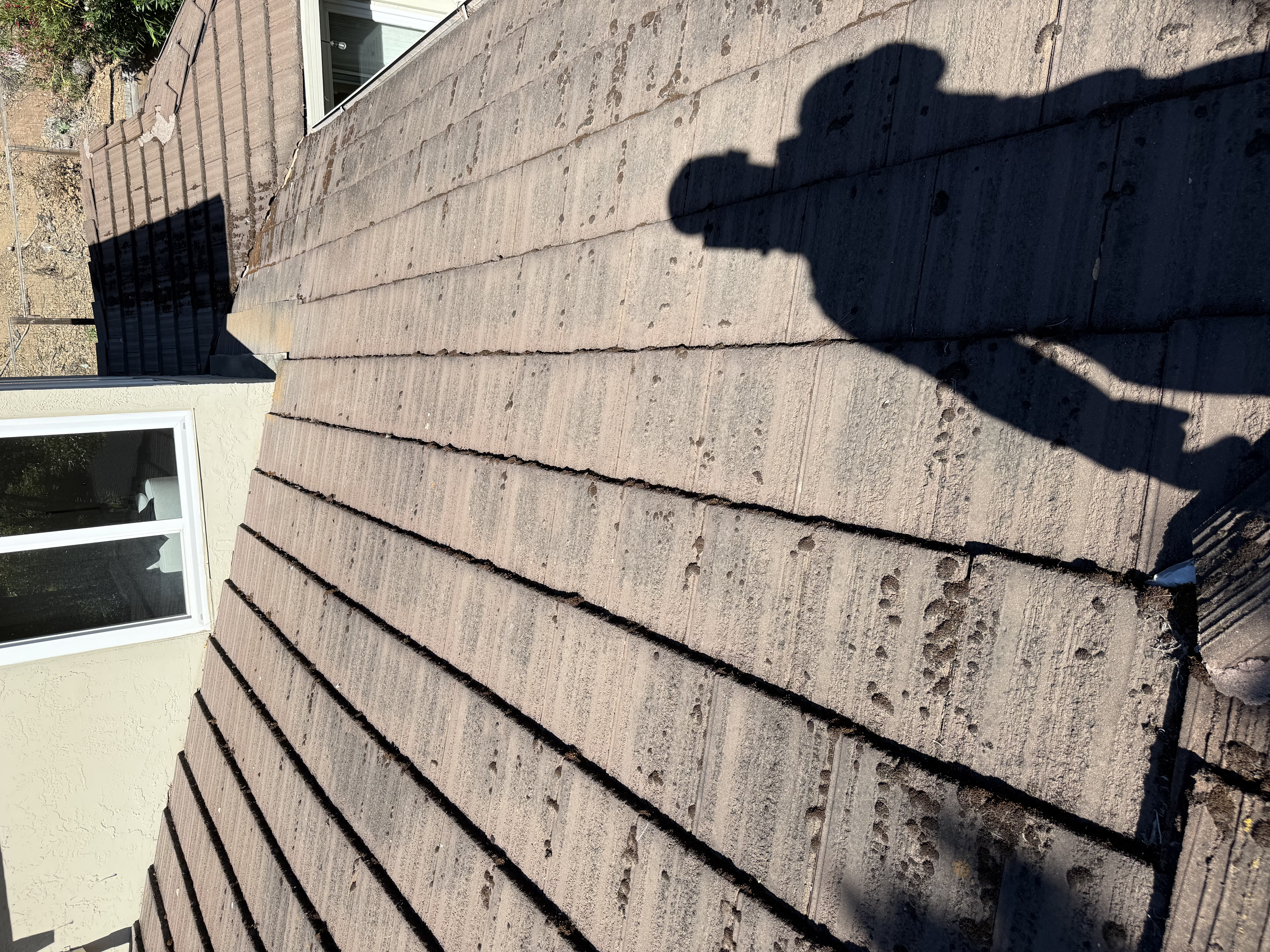 Before — Atherton roof with biological accumulation before washing
