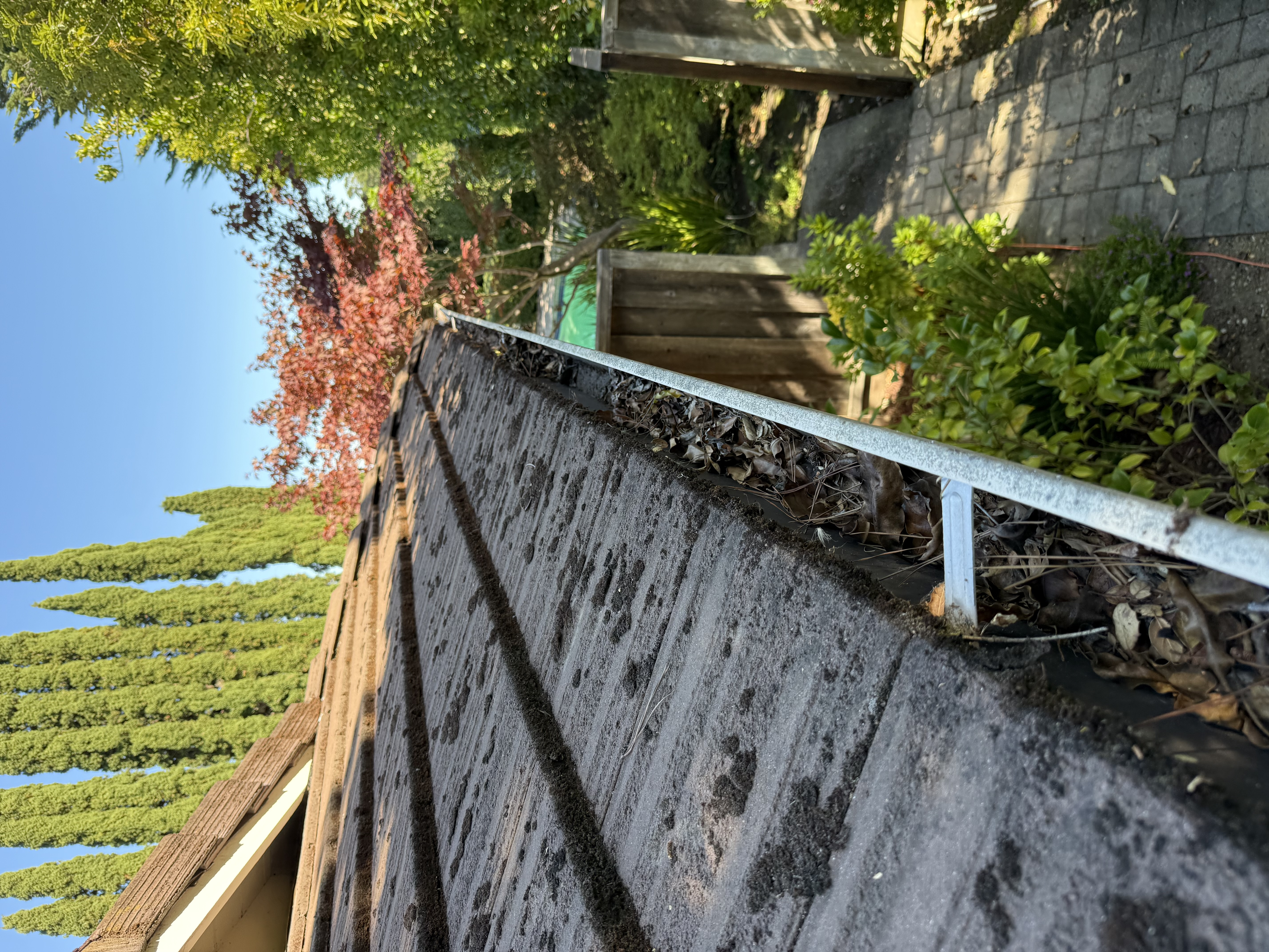 Before — Atherton roofline condition showing moss and debris before clean
