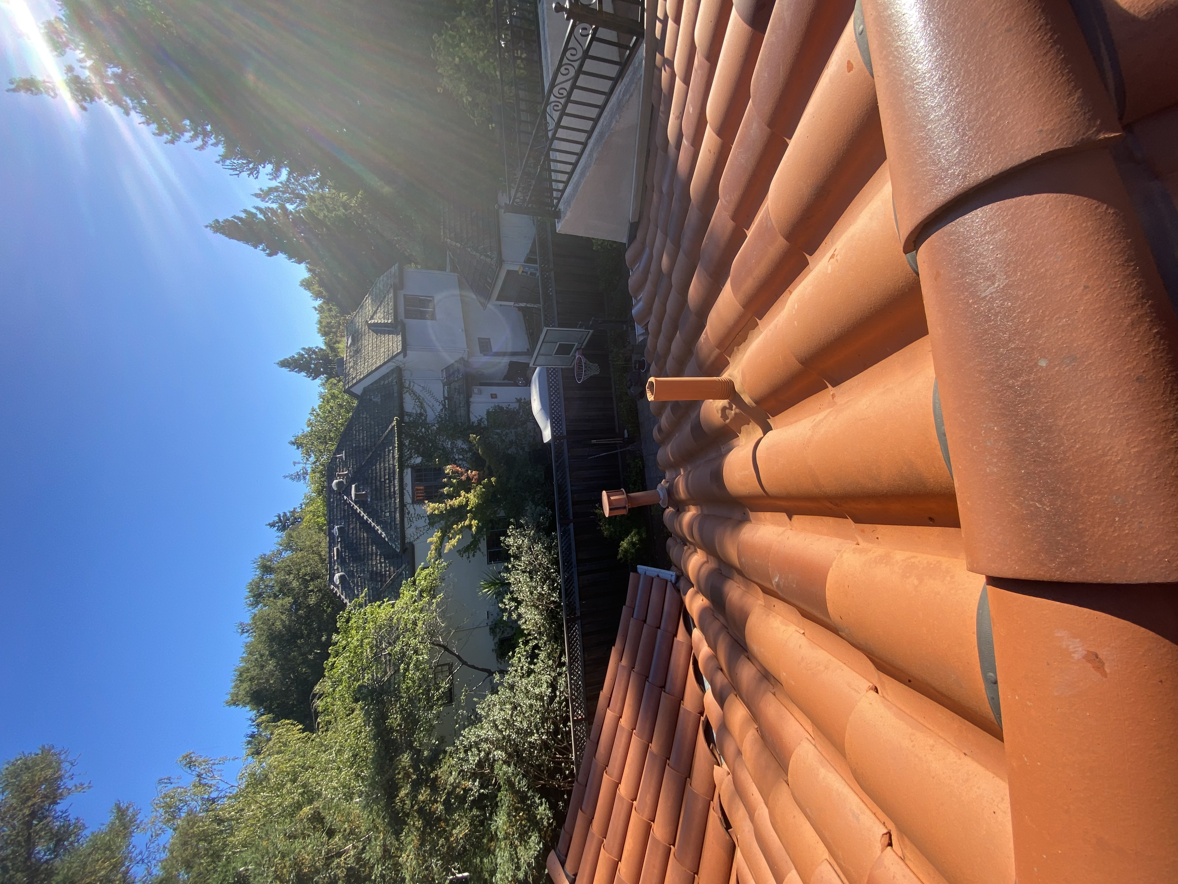 After — Atherton Spanish terracotta tile roof clean after soft wash