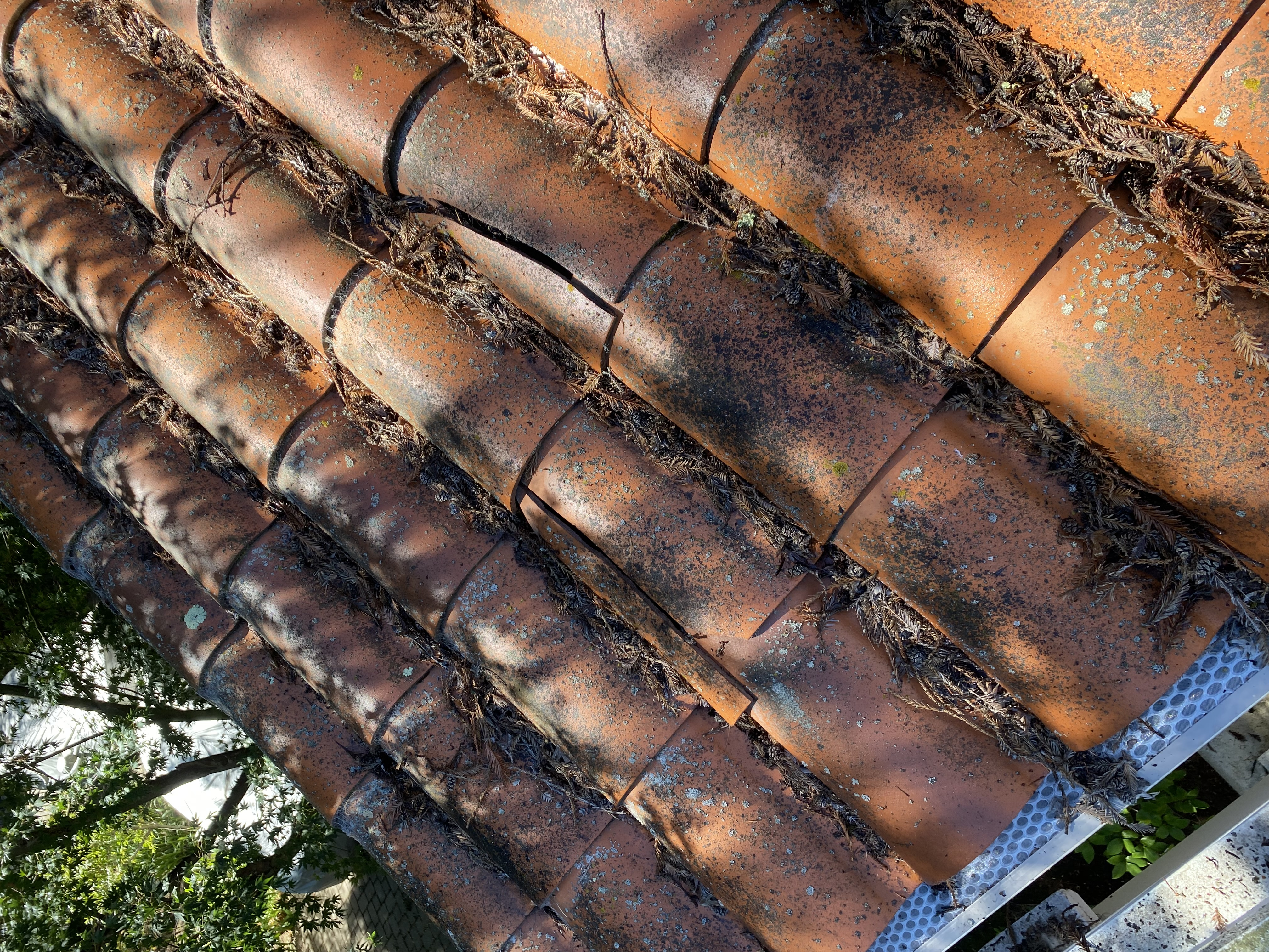 Before — Atherton Spanish tile roof overview showing growth extent before clean