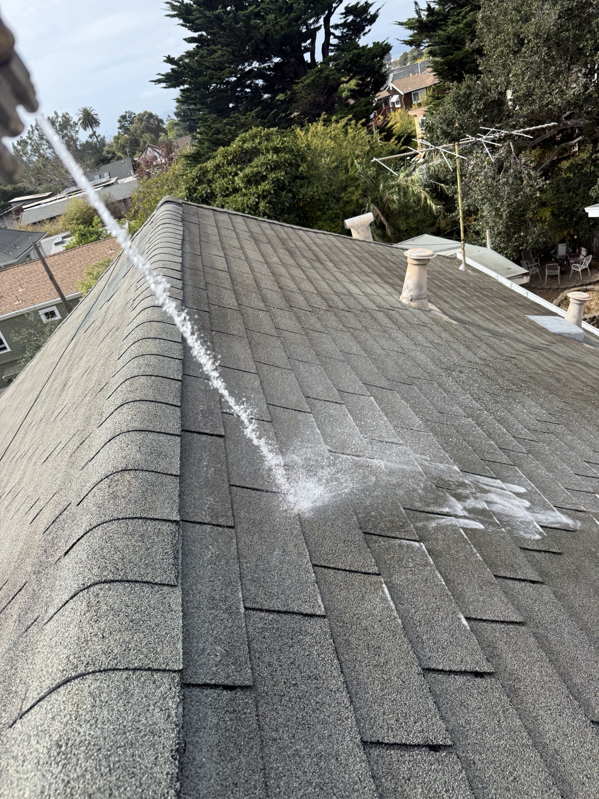 Before — soft wash rinse starting on a Berkeley composition shingle roof, water stream cutting through gray algae staining near the ridge