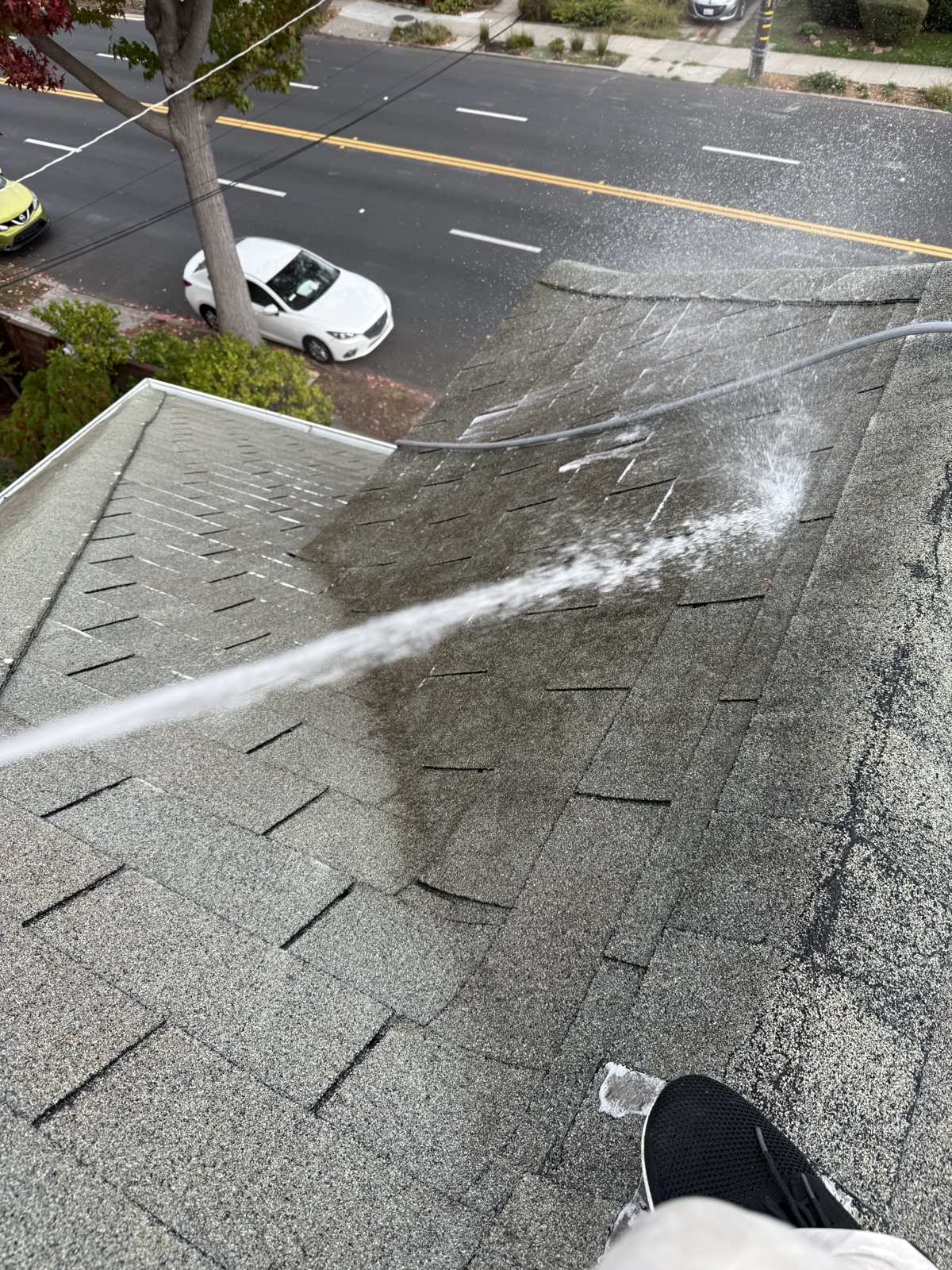 Before — Berkeley roof mid-rinse, dark organic buildup still covering the shingle slope above the street