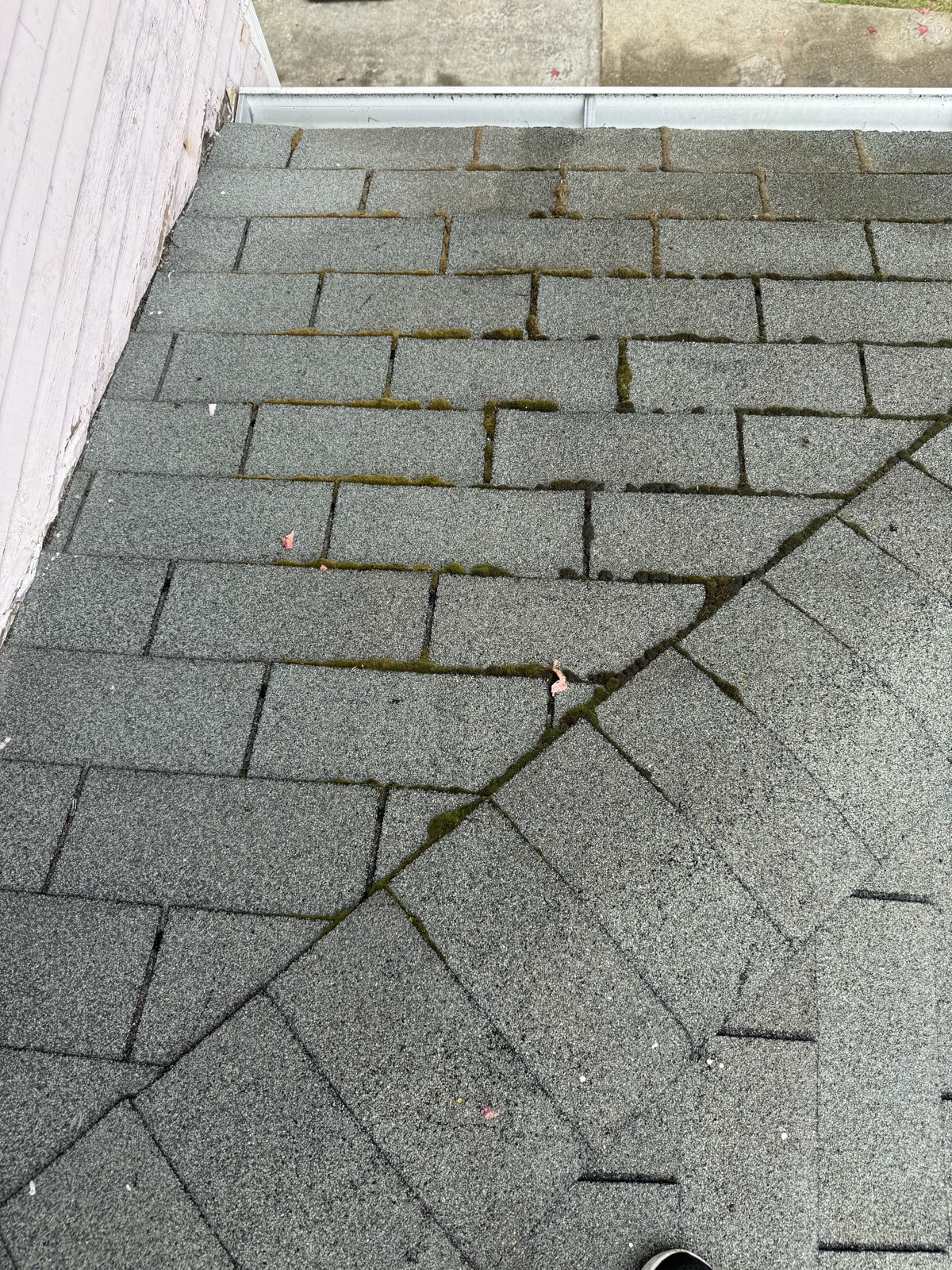 Before — green moss rooted in the keyways between composition shingles near a Berkeley gutter edge