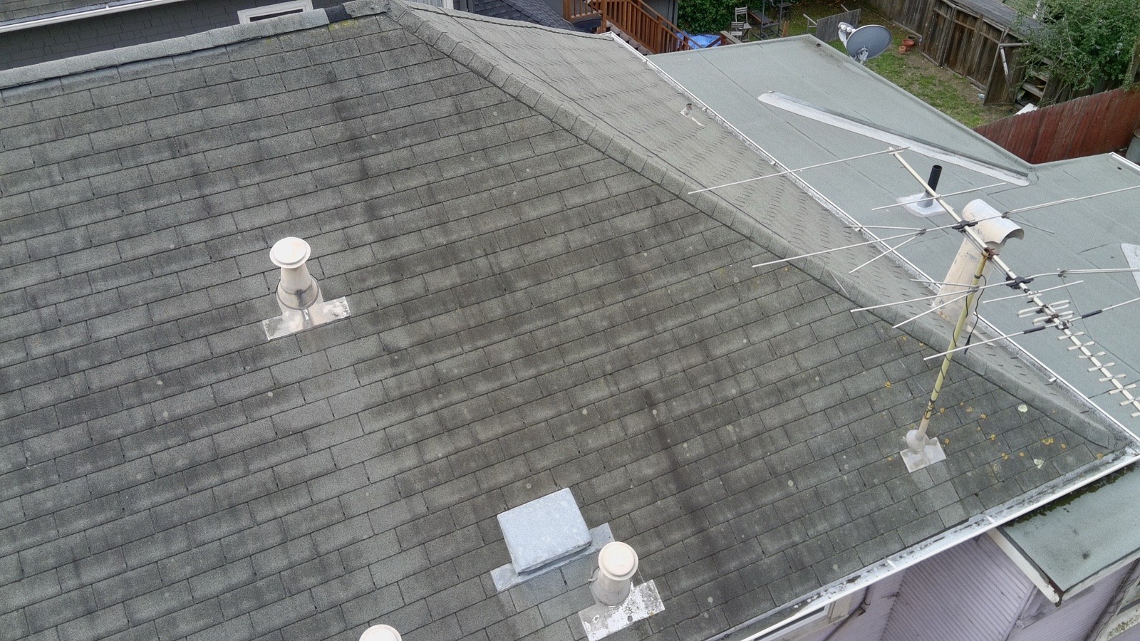 Before — roof-cam view of a Berkeley shingle roof darkened by algae streaks, old TV antenna at the roofline