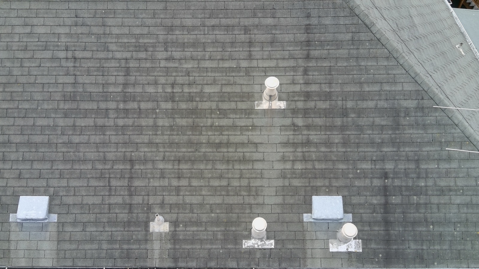 Before — overhead roof-cam frame of algae staining running down a Berkeley shingle field between vent stacks