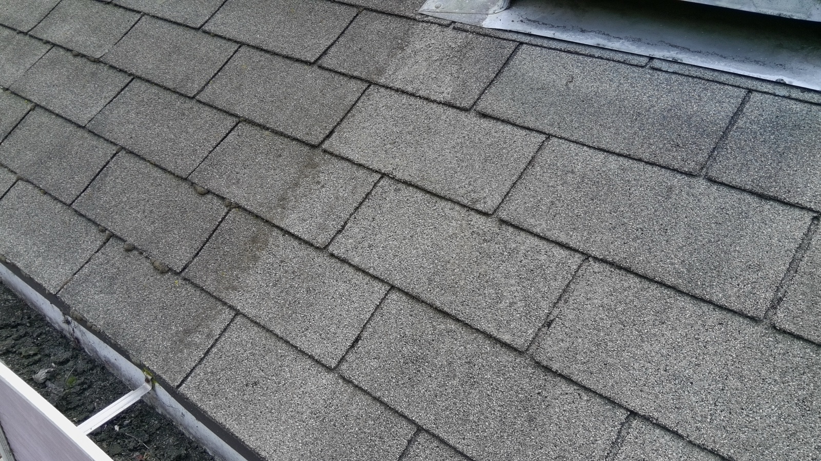 Before — close roof-cam view of organic film and grit on Berkeley composition shingles at the gutter line