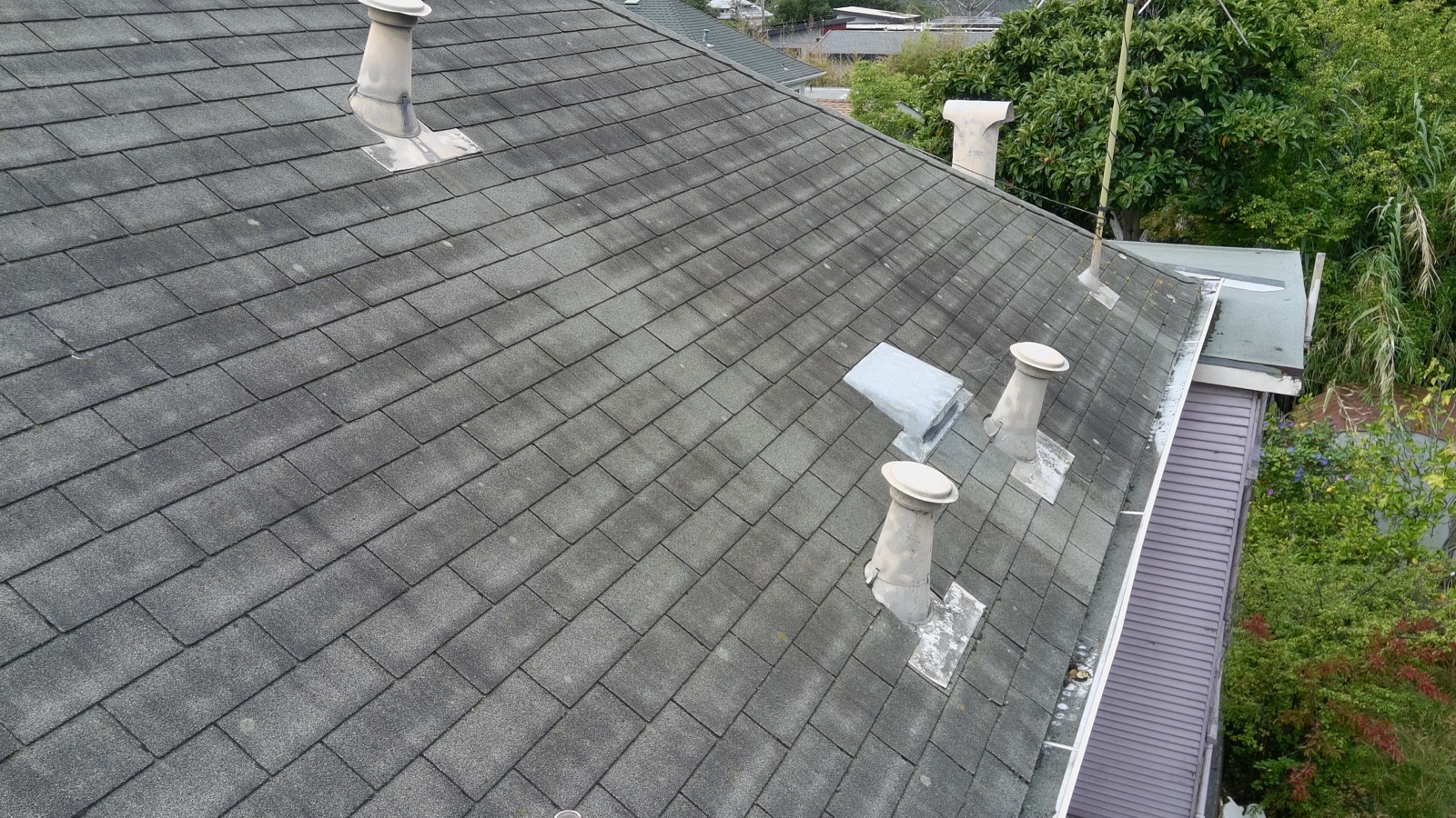 Before — Berkeley roof slope shaded dark with algae growth around three vent stacks