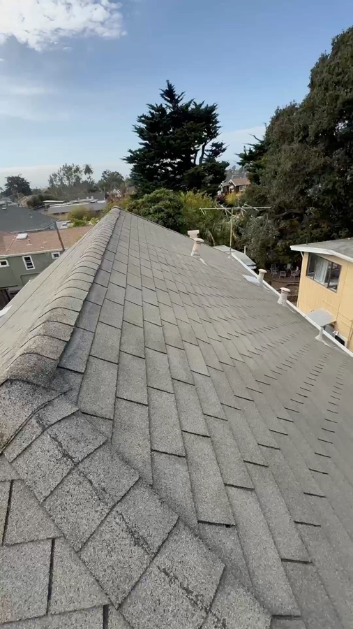 Soft wash rinse running down a composition shingle roof in Berkeley, California