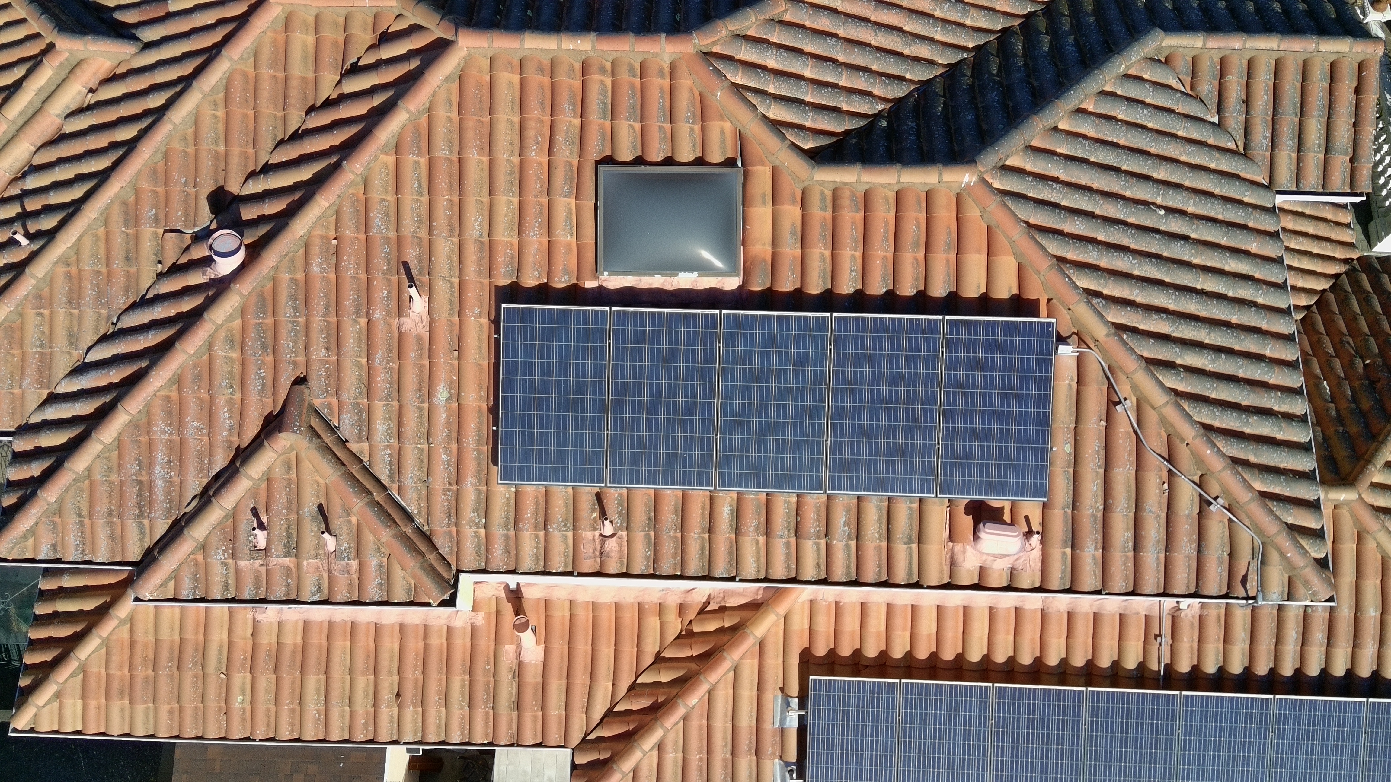 Before — Burlingame tile roof north-facing slope with heavy biological growth