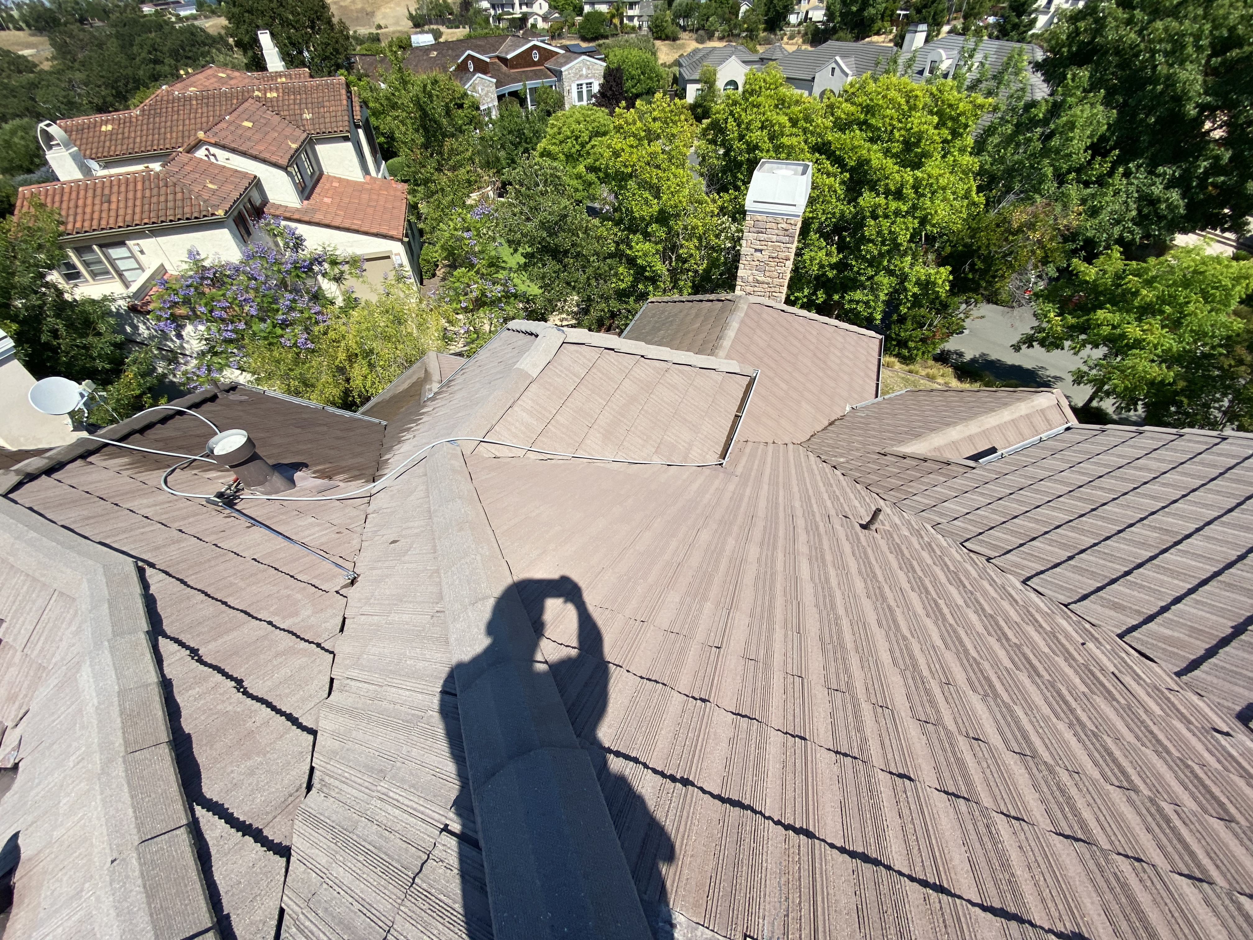 After — Cupertino concrete tile roof cleaned, biological growth eliminated