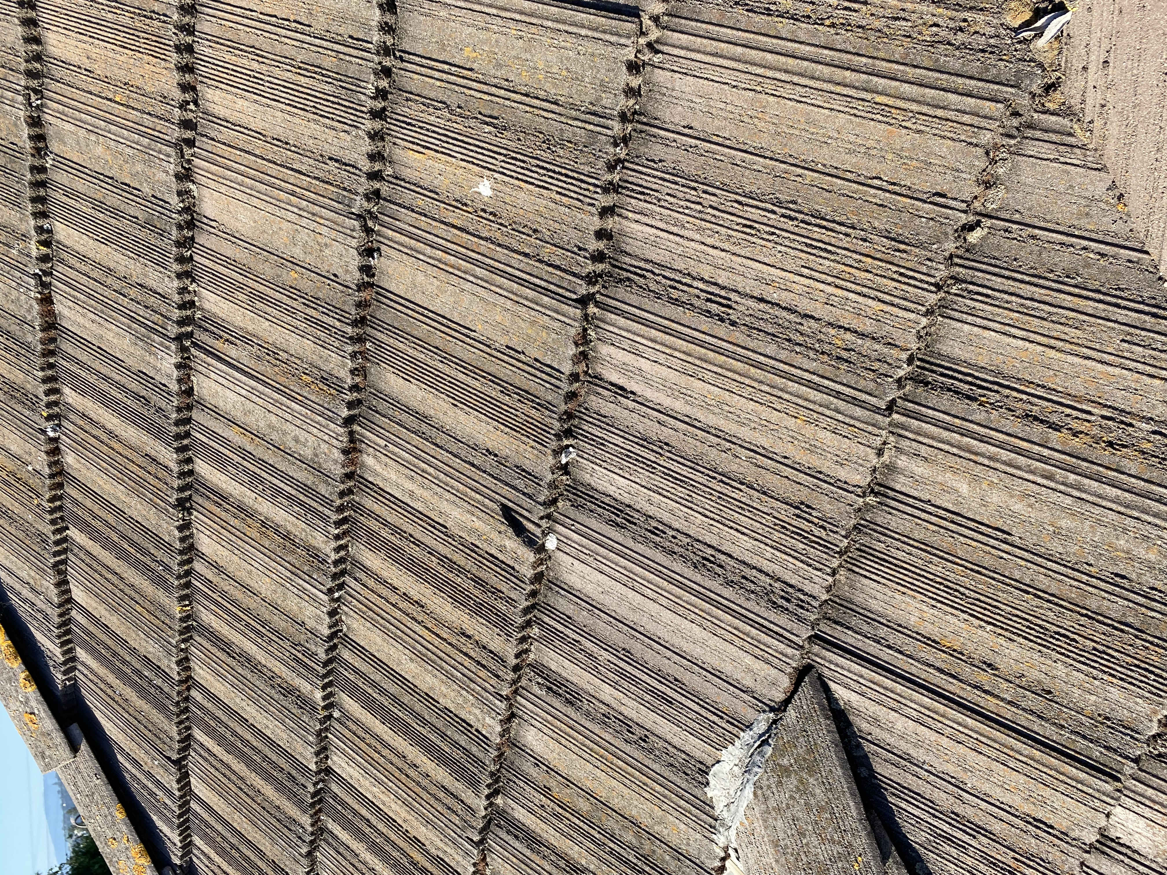 Before — Cupertino concrete tile roof with biological growth before cleaning