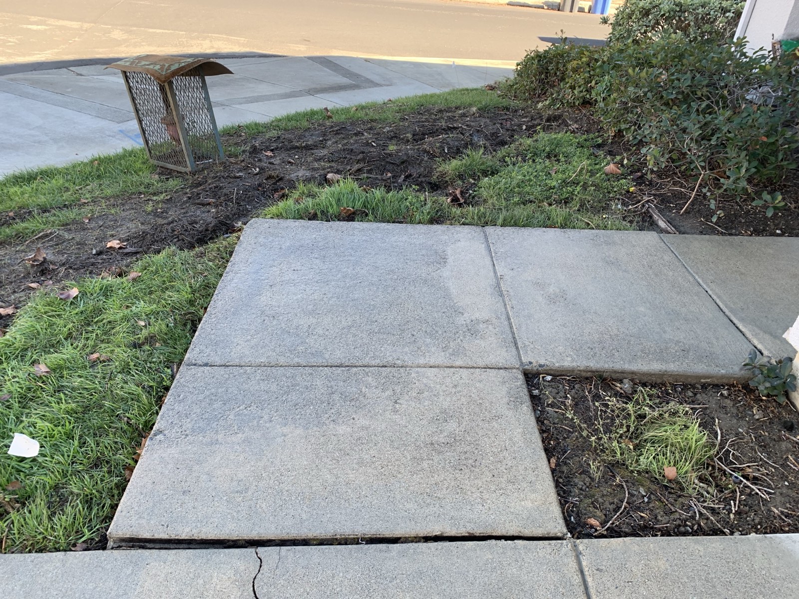 After — front walkway slabs at the Fremont home clean and even, algae and staining removed