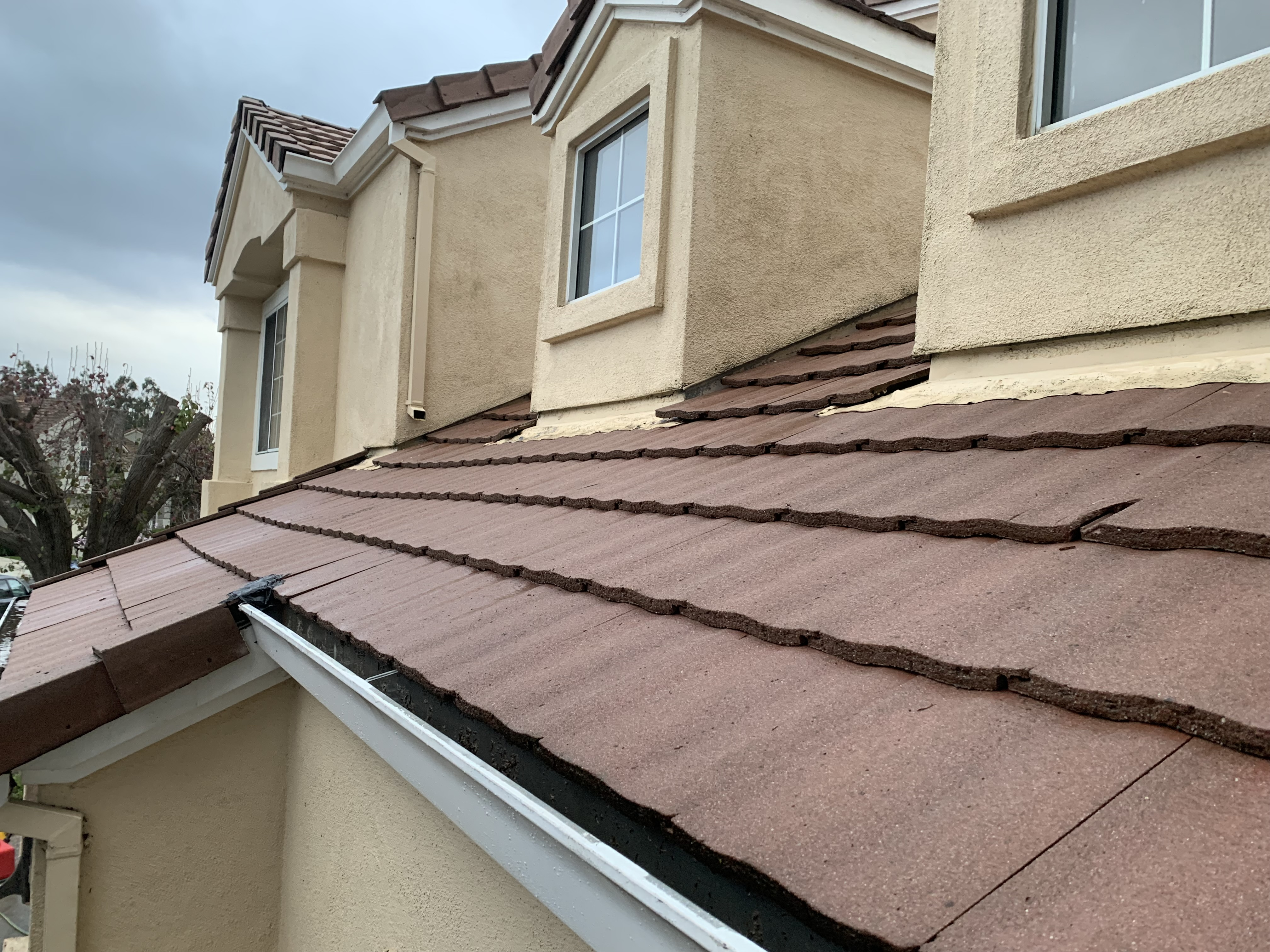 After — Fremont tile roof cleaned, biological growth eliminated by treatment