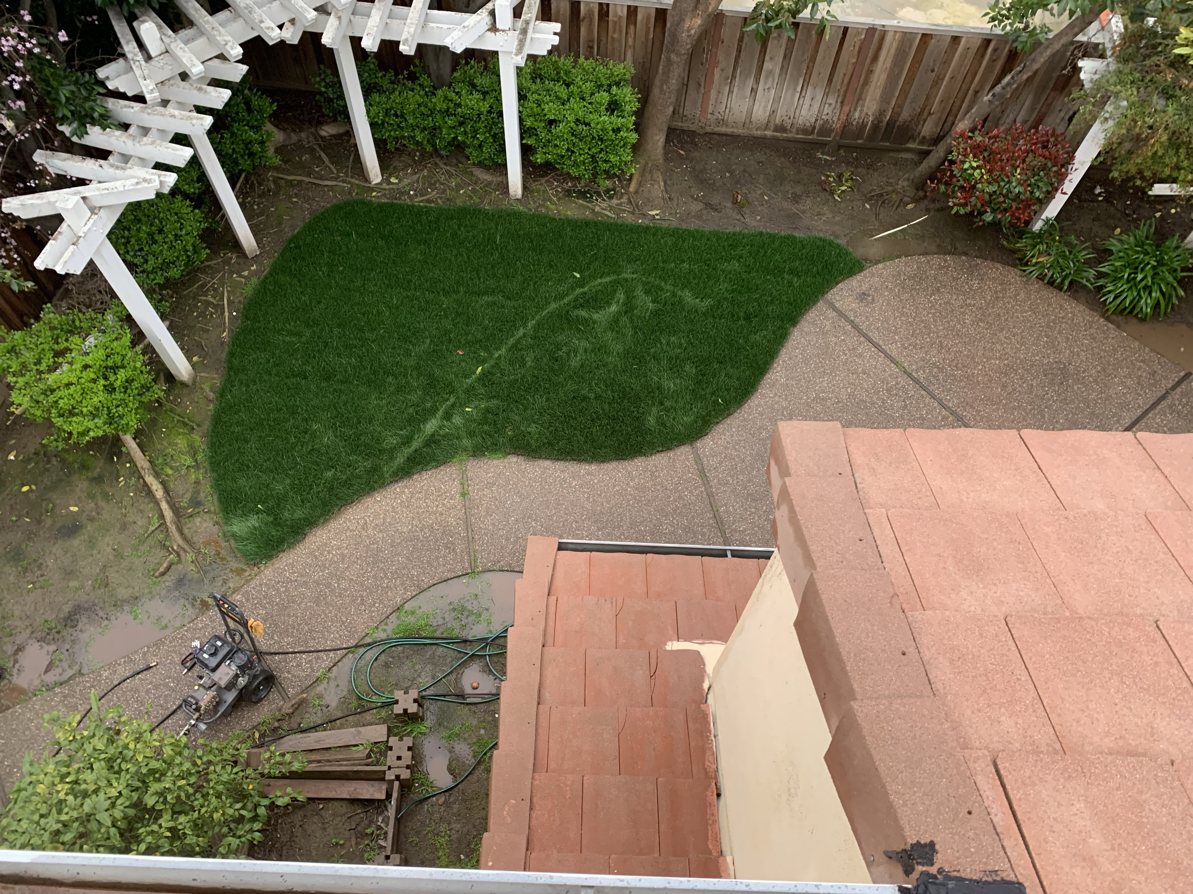 After — Fremont flat tile roof clean after soft wash service