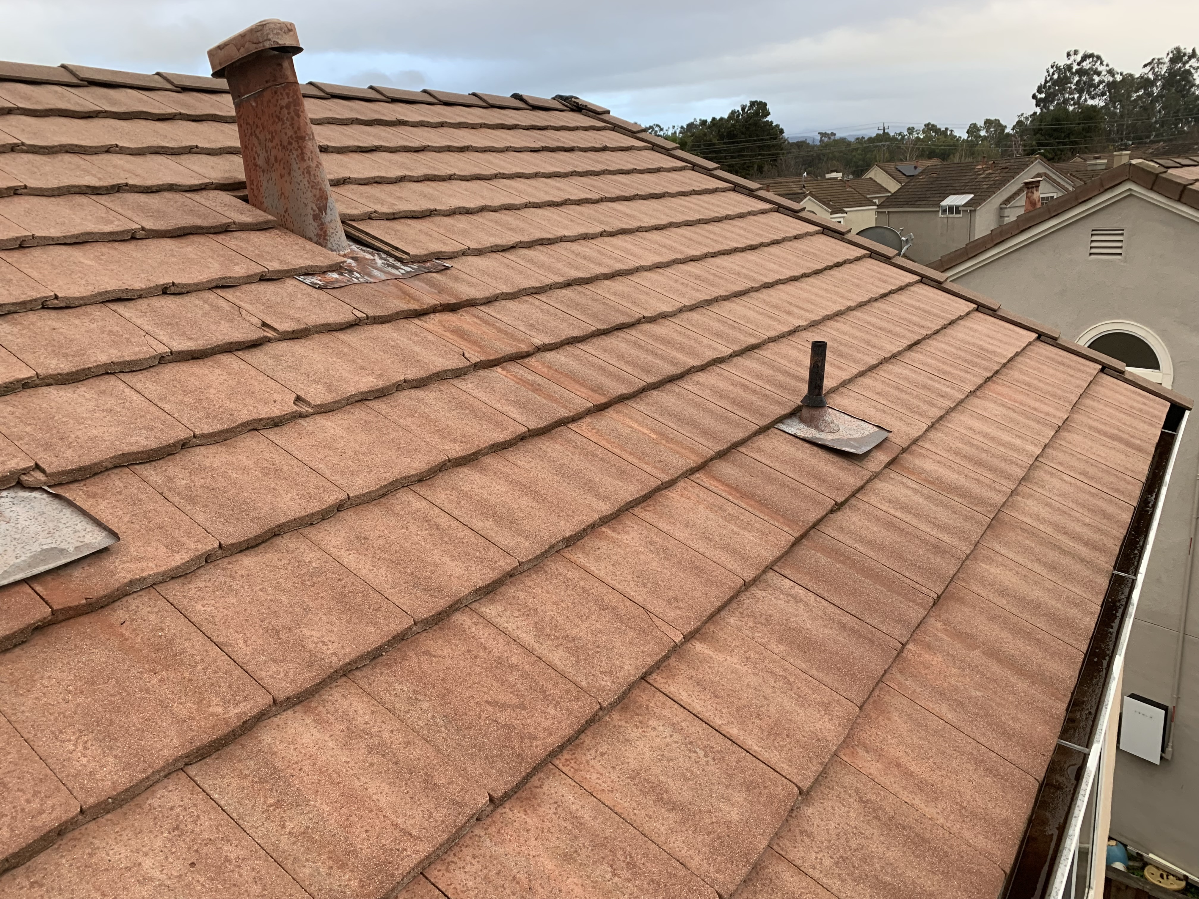 After — Fremont flat tile roof overview after cleaning