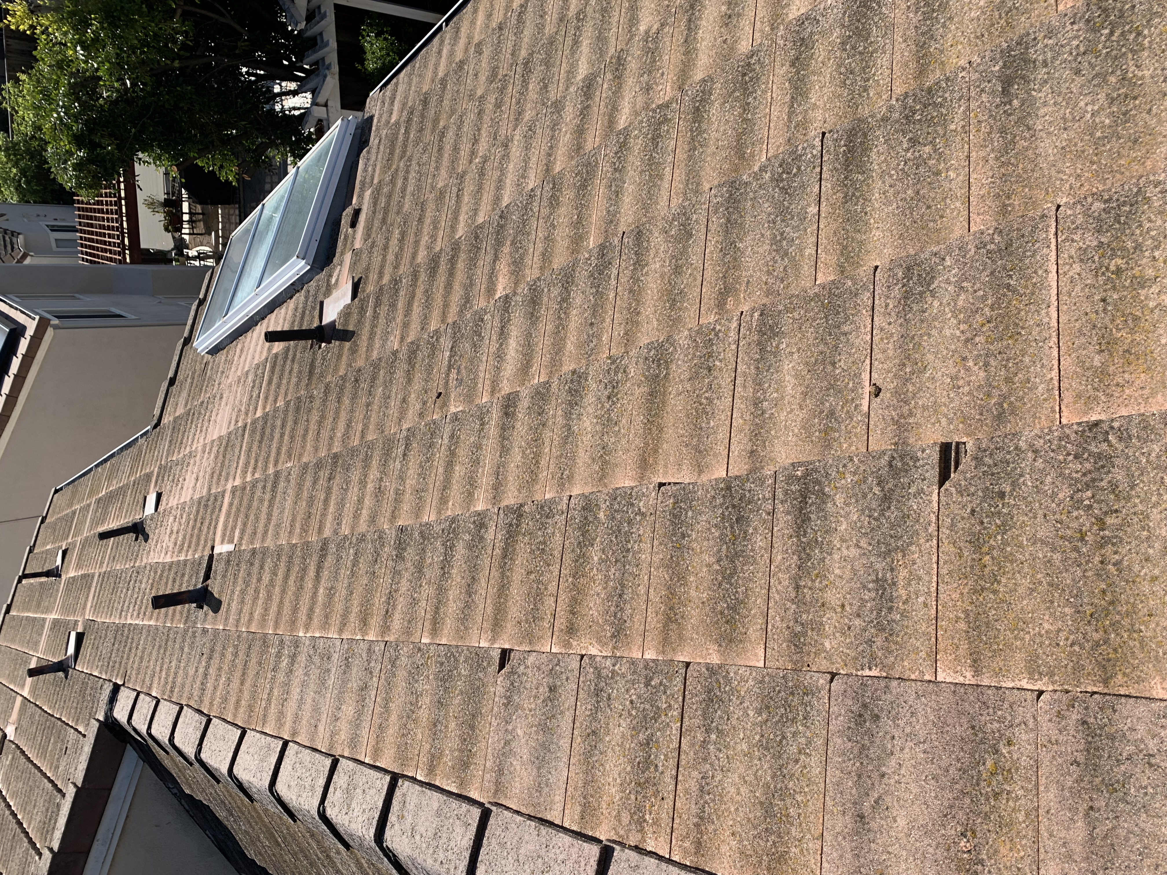 Before — Fremont flat tile with moss on north-facing section before soft wash