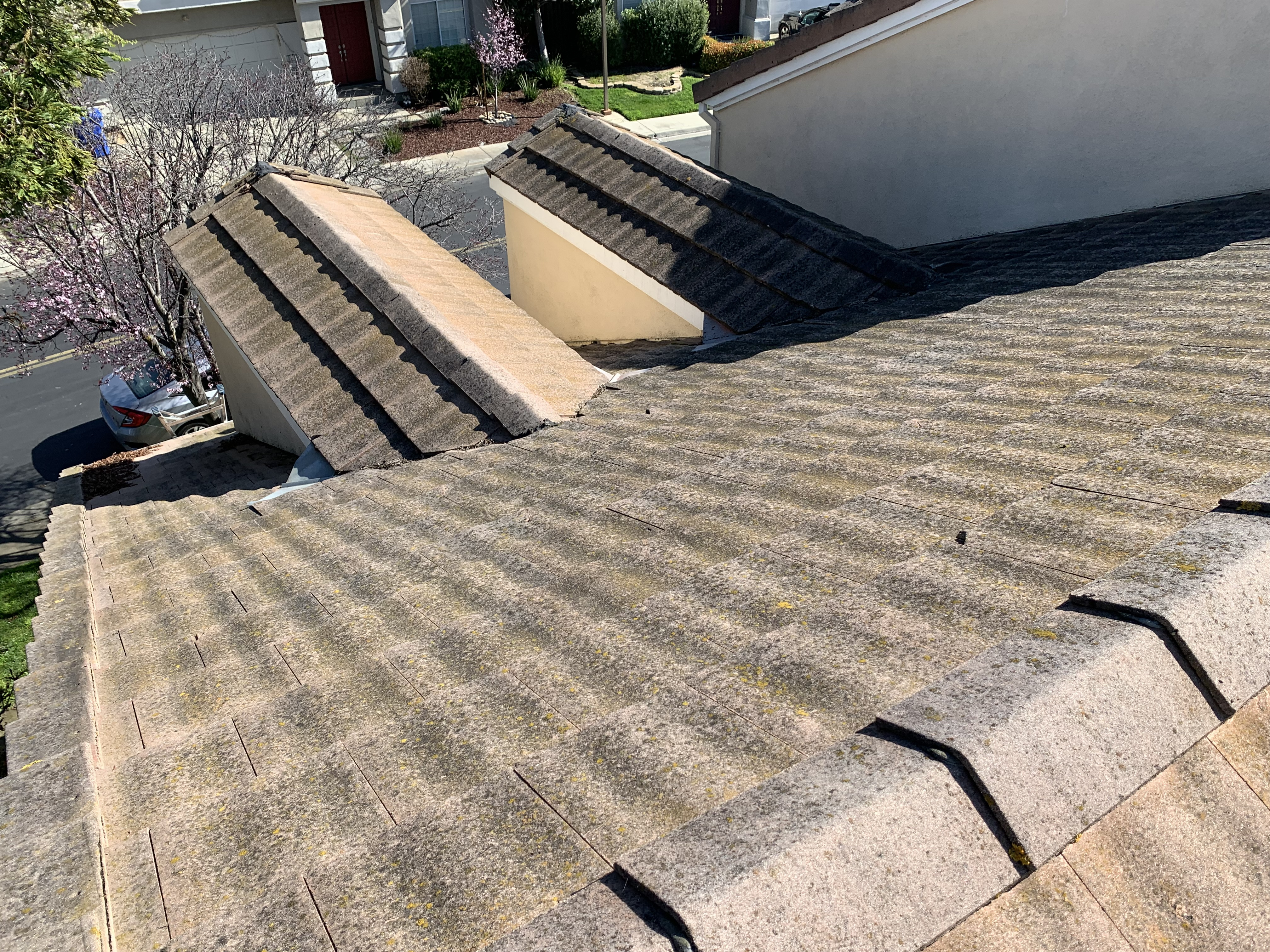 Before — Fremont roof tile row with lichen and algae accumulation