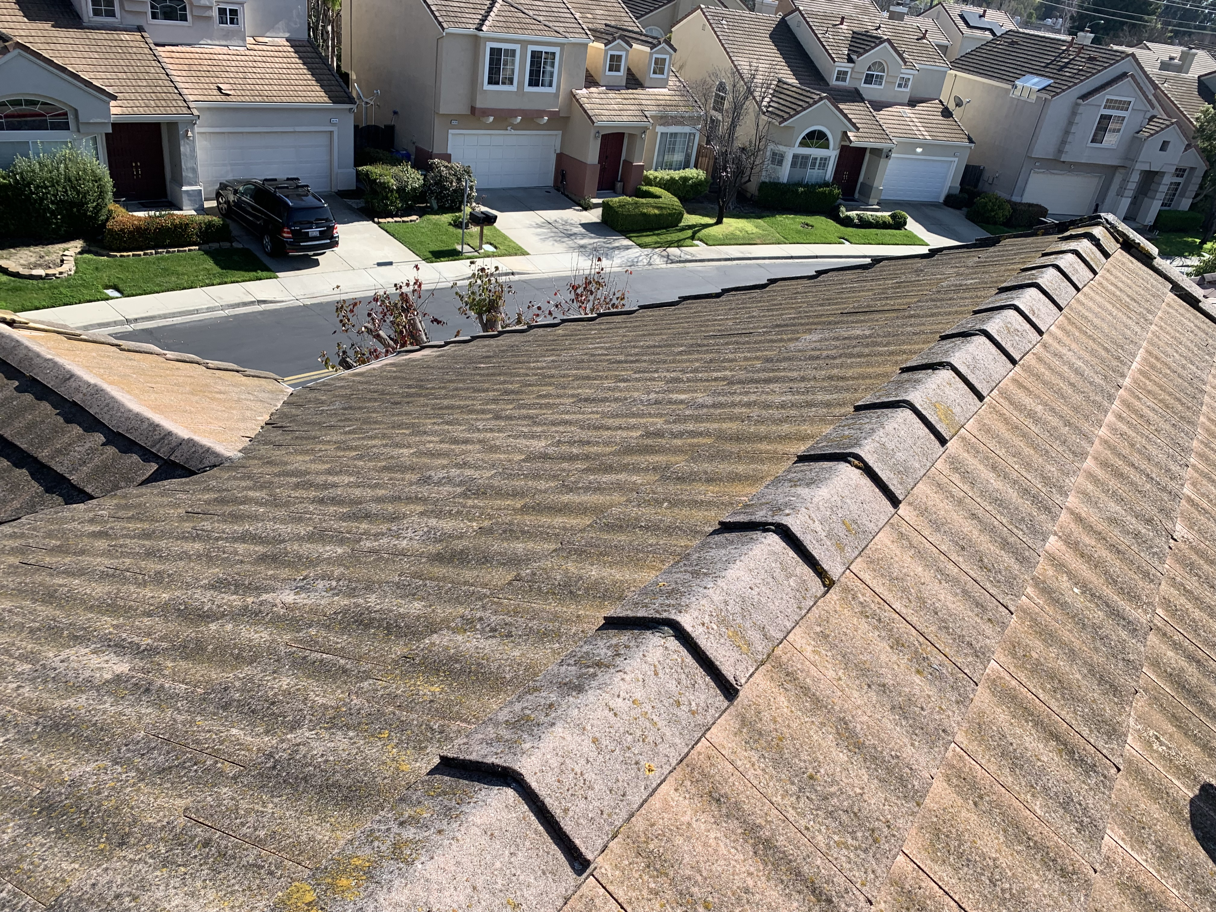 Before — Fremont tile roof with dense moss coverage before wash