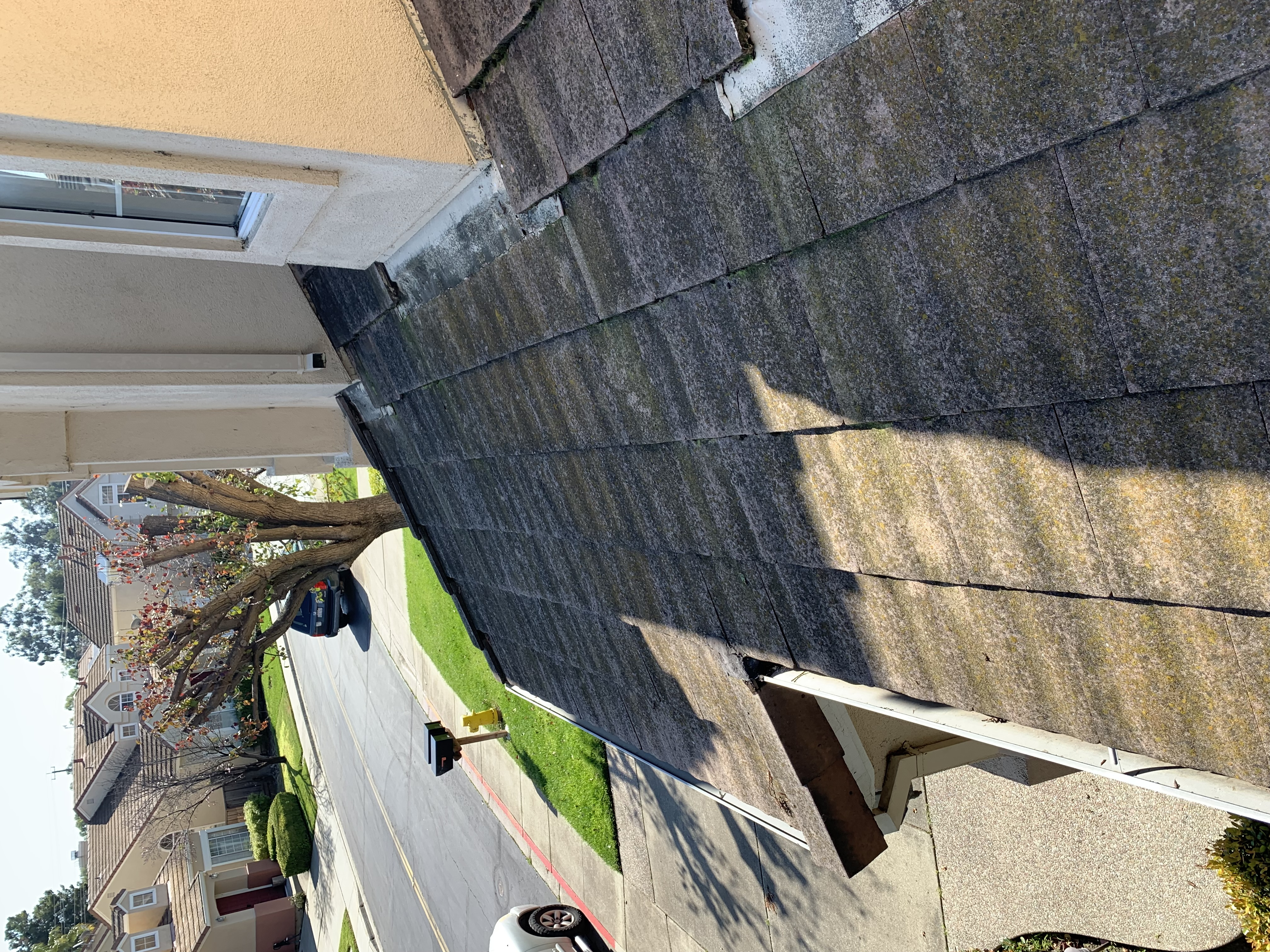 Before — Fremont flat tile roof overview showing extent of growth before clean