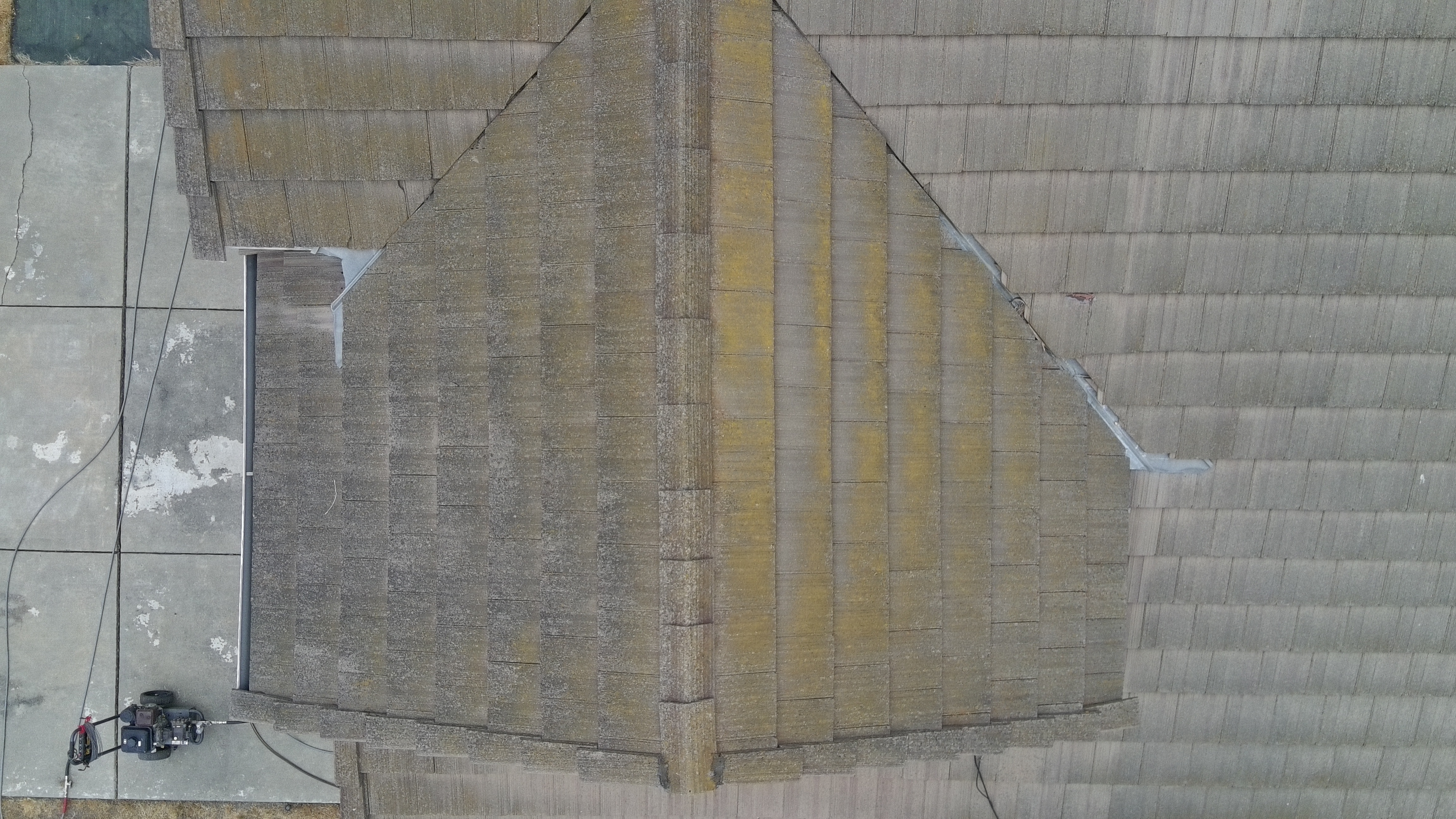 Before — Fremont roof overview with algae colonies across tile surface