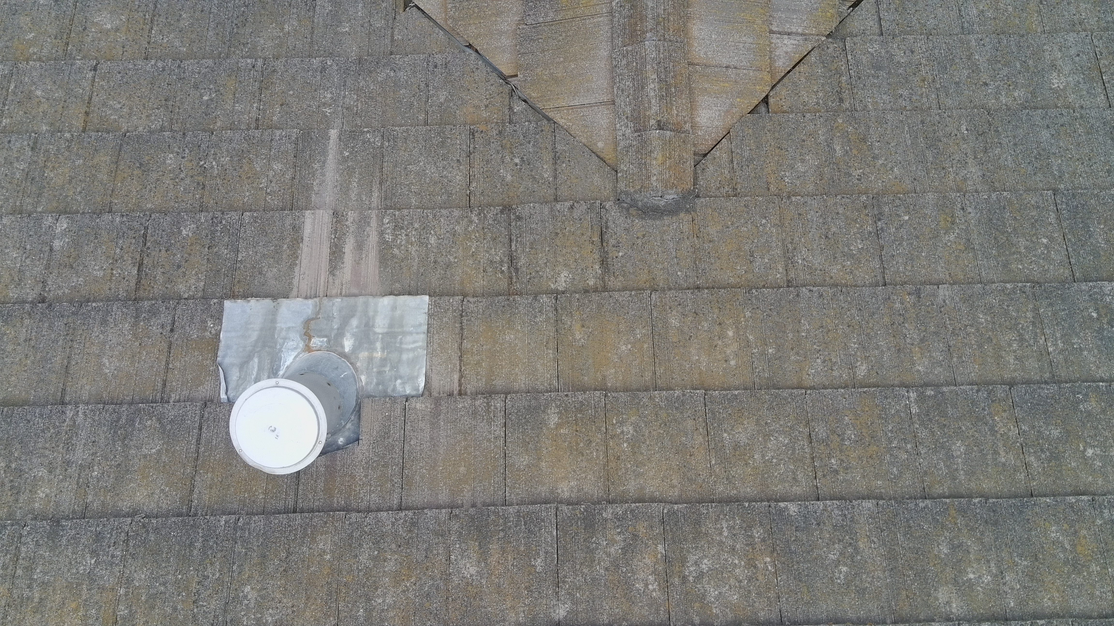 Before — Fremont flat concrete tile with dark staining before soft wash