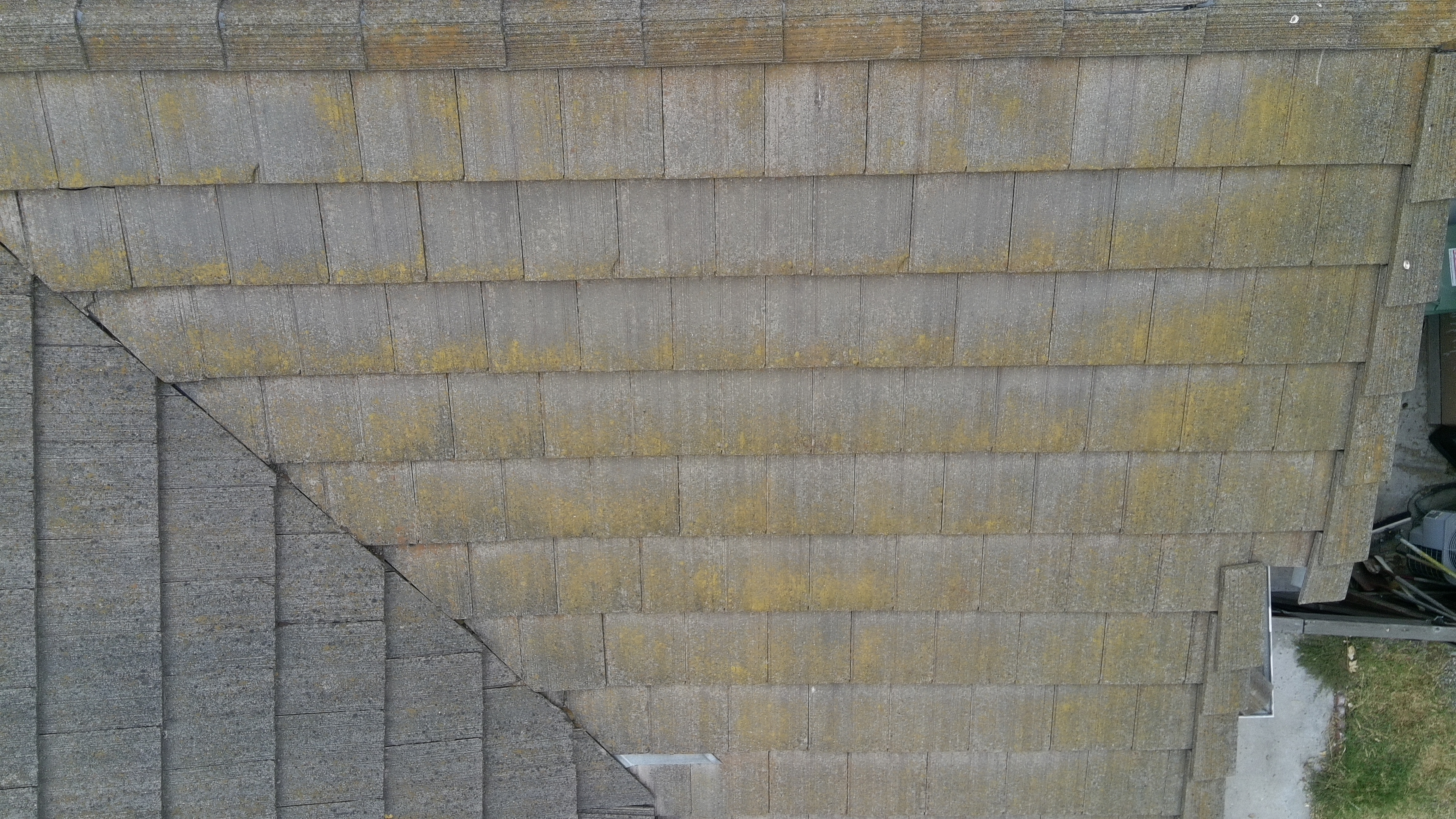 Before — Fremont tile roof section showing full extent of biological growth