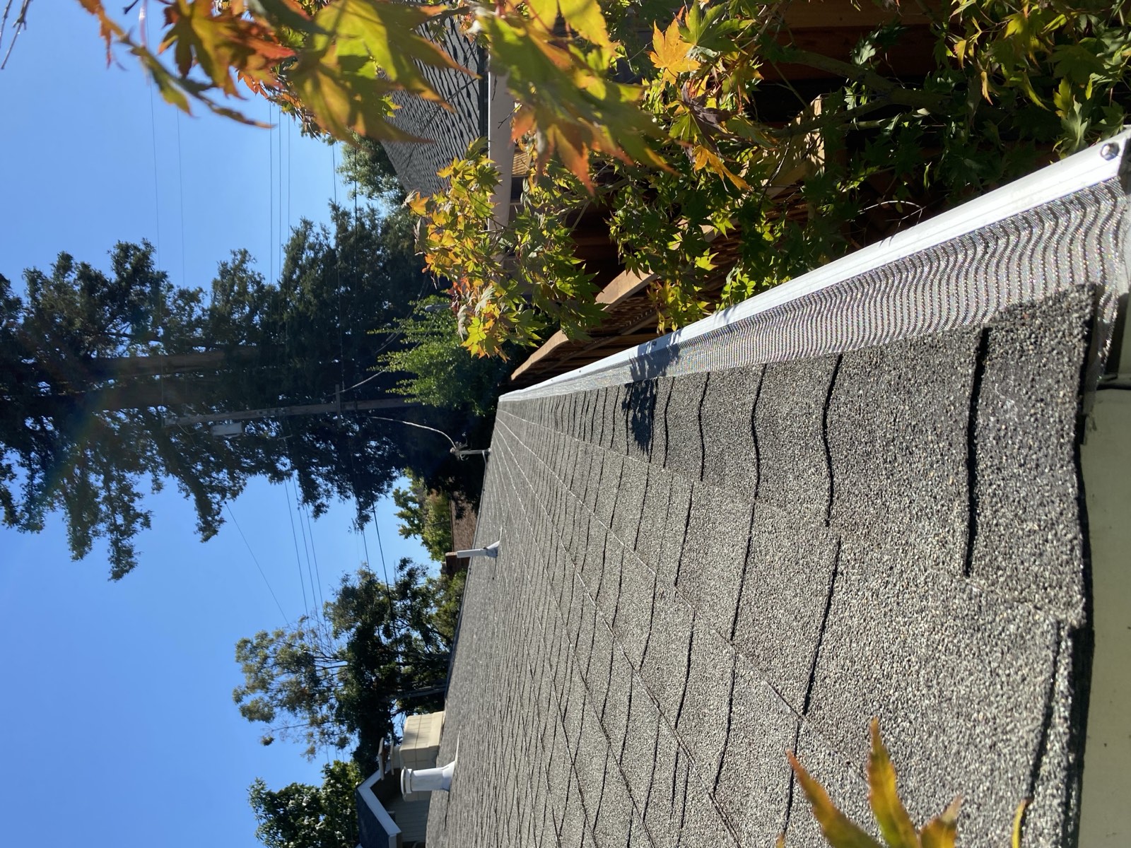 Stainless micro-mesh gutter guard fitted along a composition shingle roof edge, tucked under the first shingle course