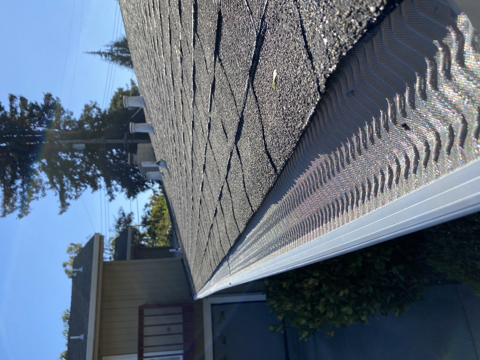 Close-up of low-profile micro-mesh gutter guard panels locked onto the gutter lip along a shingle roof edge
