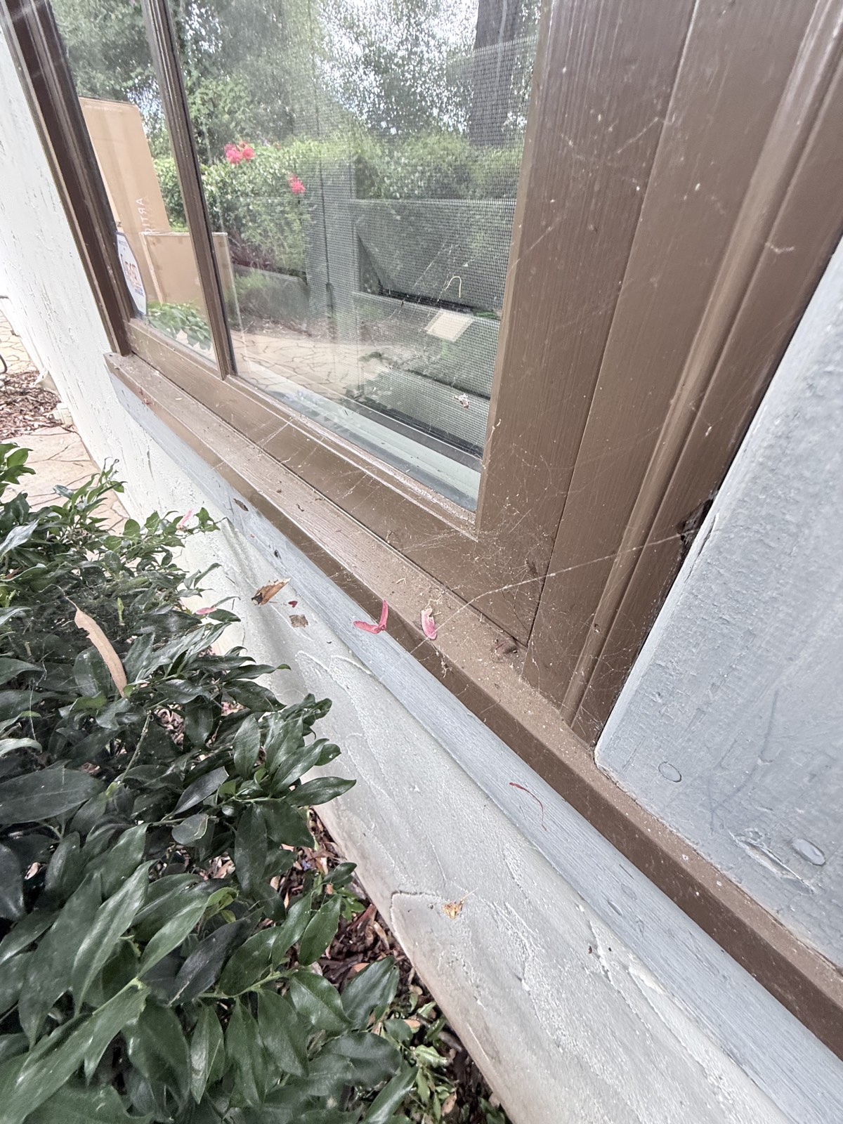 Before — spider webs and dust across the brown window frame and sill of the Los Gatos home
