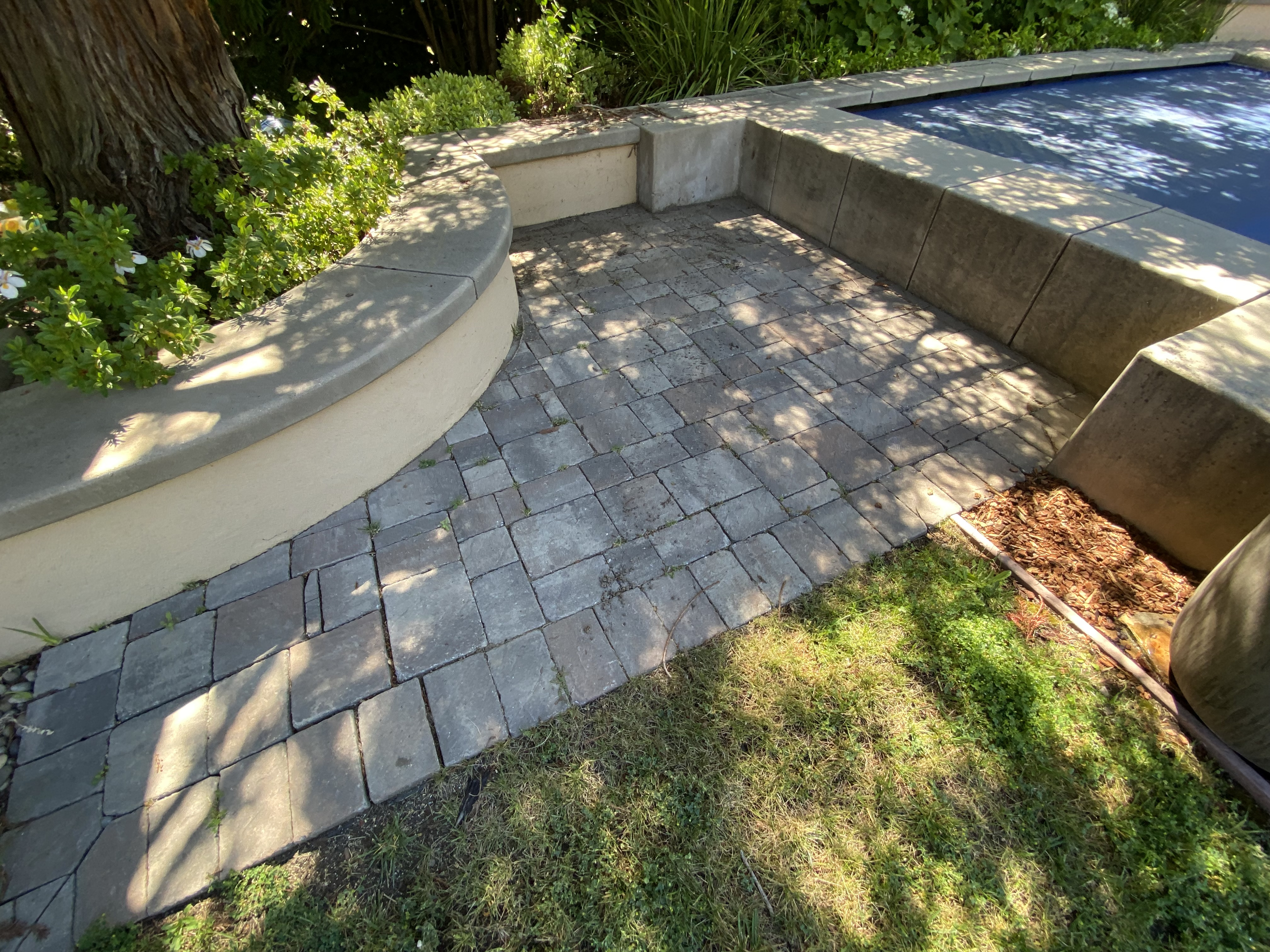 Before — Los Gatos pavers with moss, staining, and eroded joints