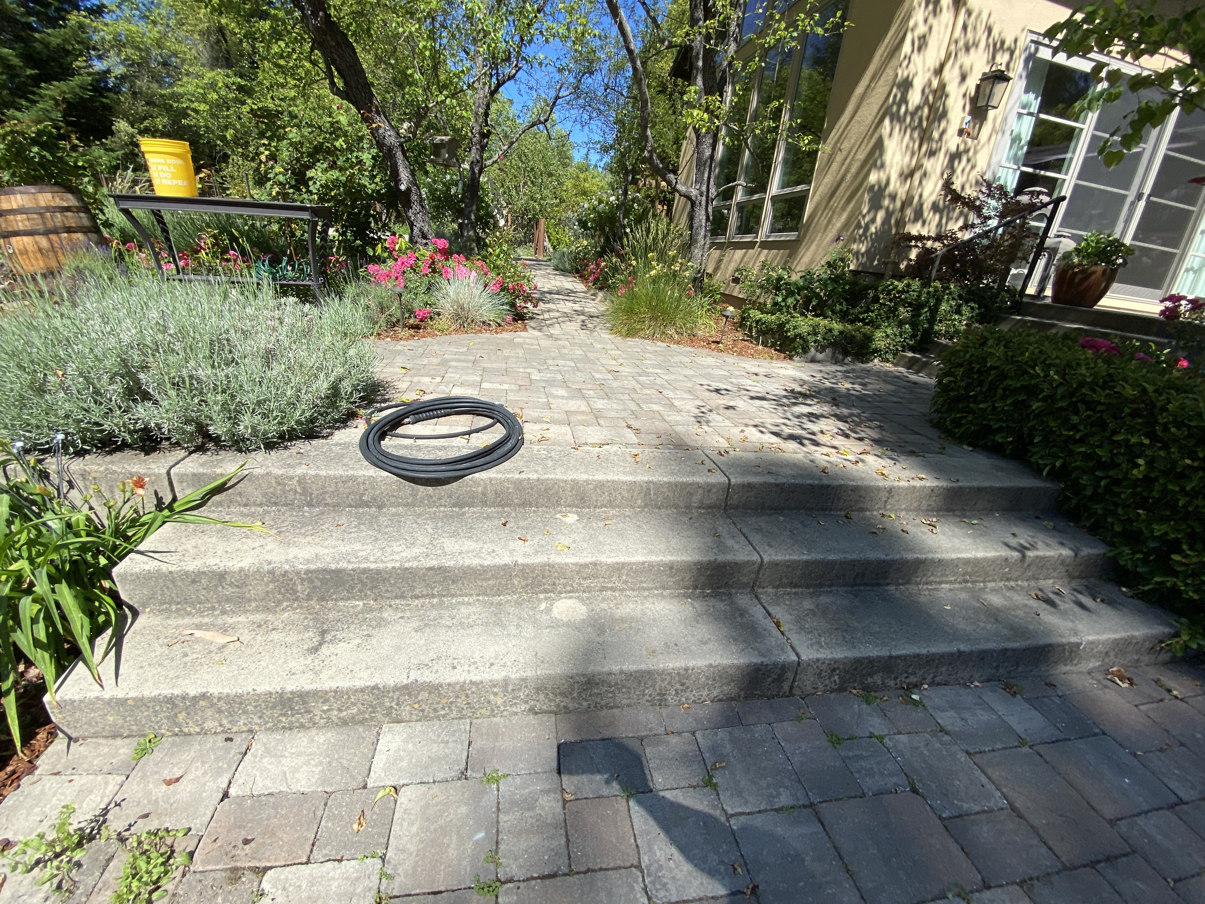 Before — Los Gatos paver driveway with organic buildup before cleaning