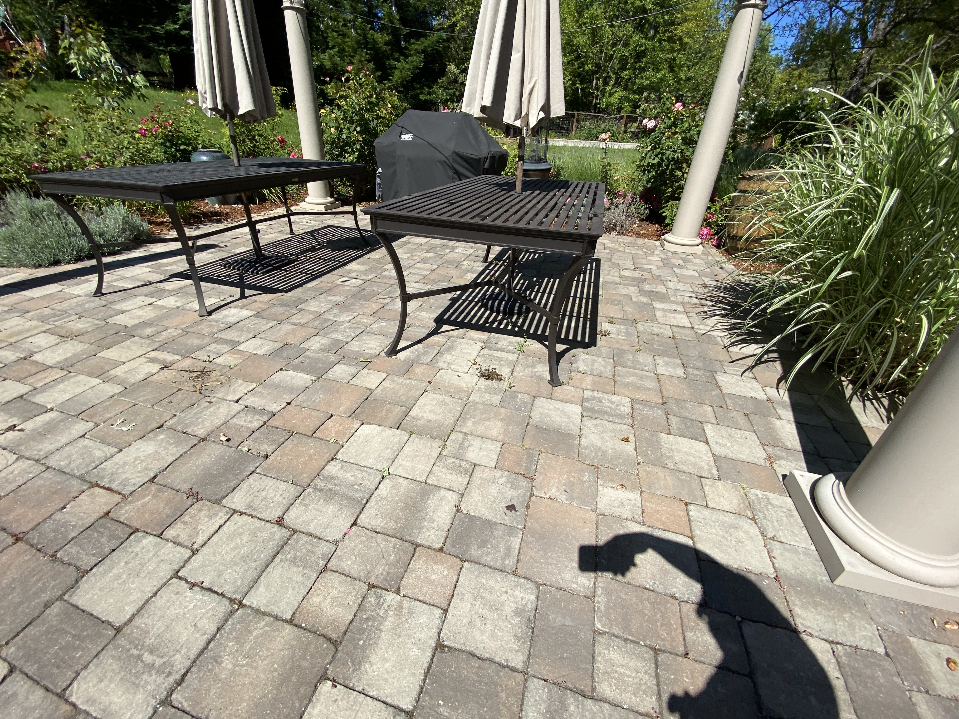 Before — Los Gatos paver surface with weeds in joints before resanding