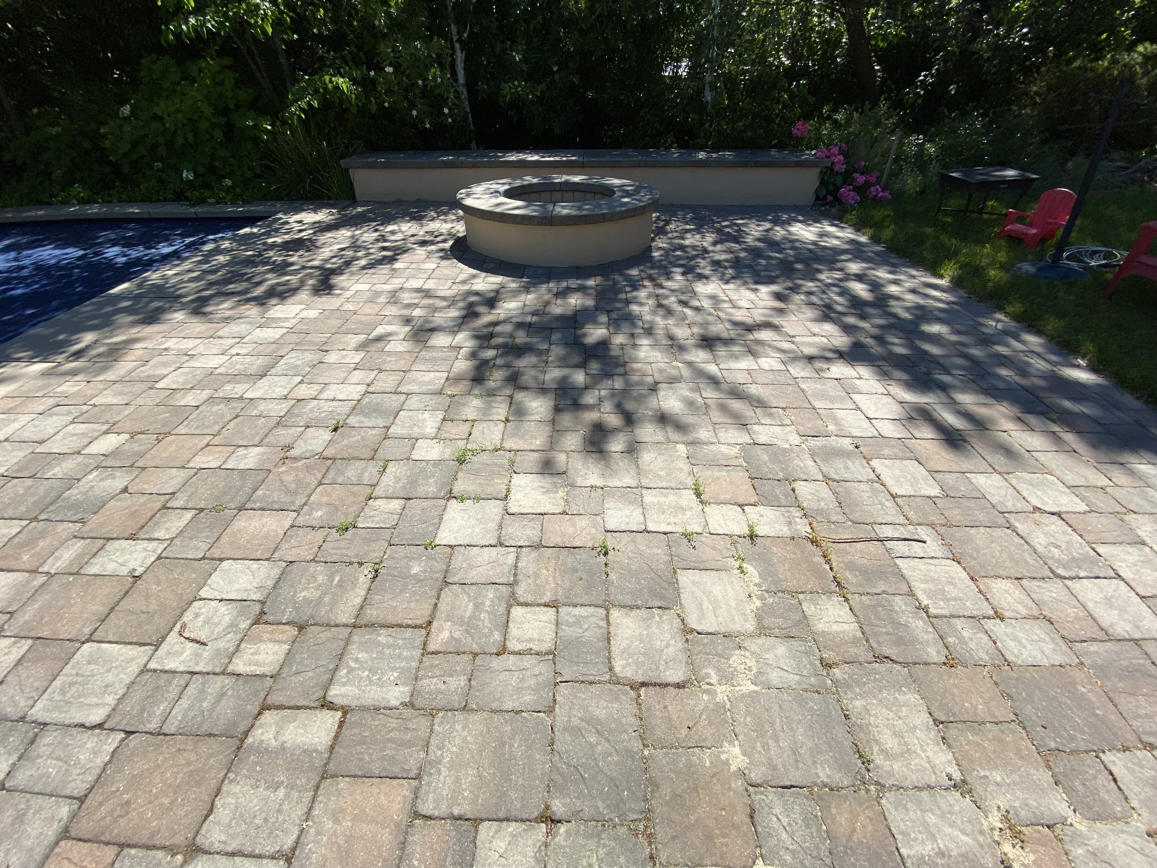 Before — Los Gatos paver walkway before cleaning and resanding service