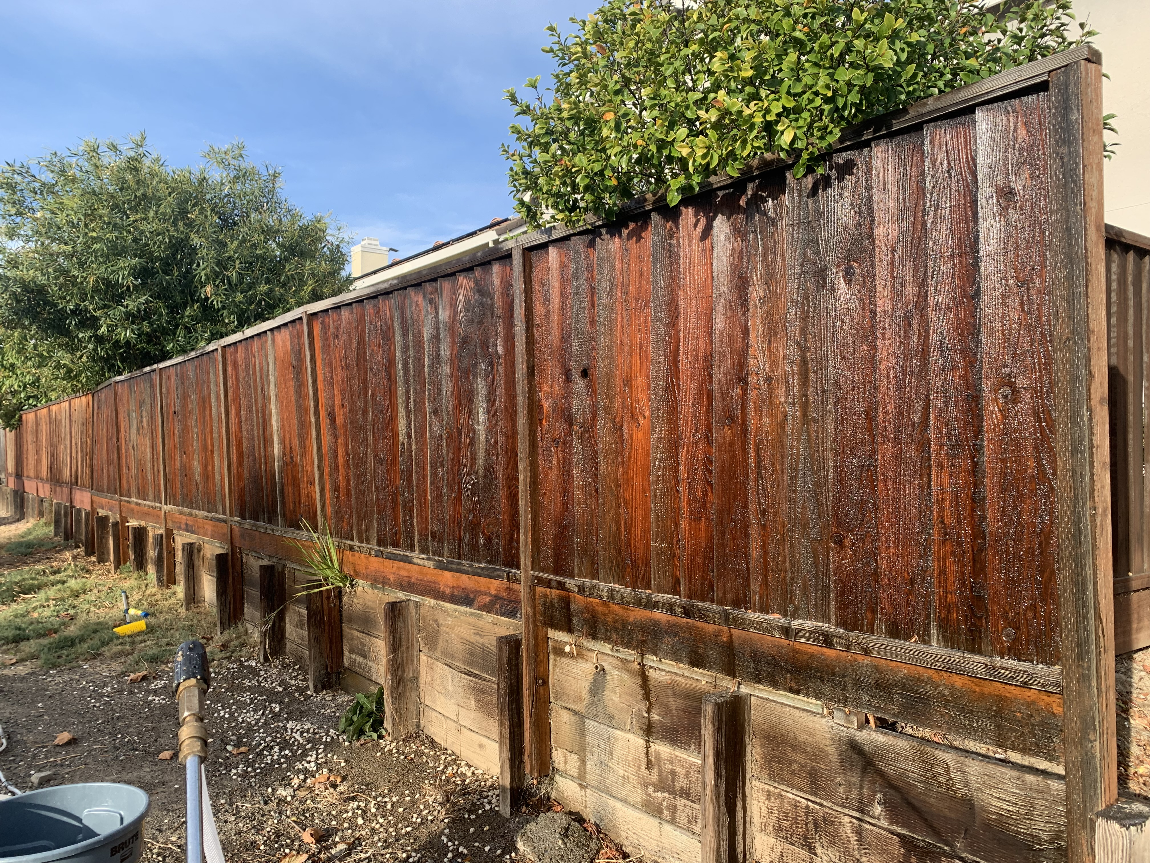 Before — Milpitas wood fence heavily greyed with oxidation and mildew