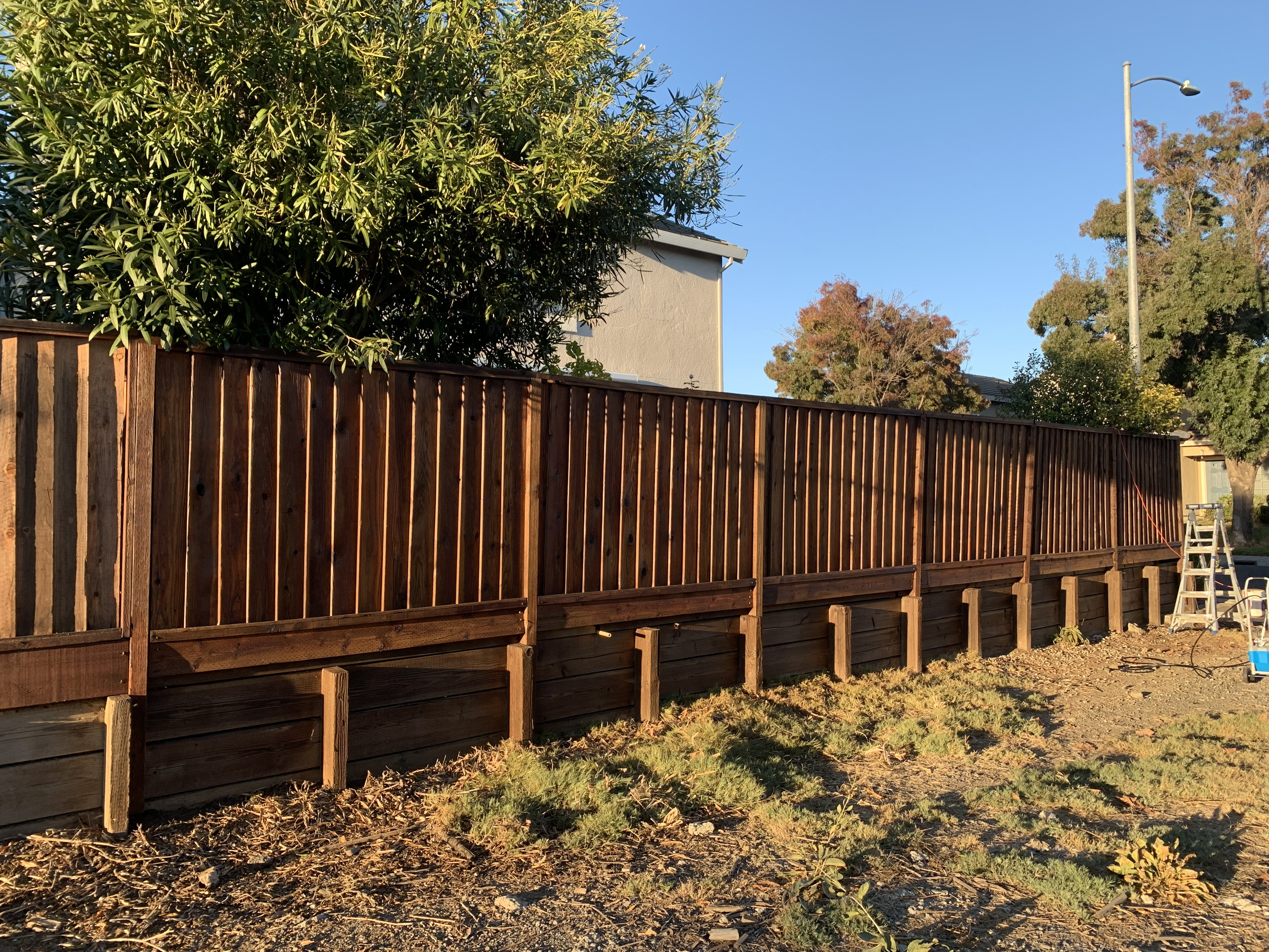 Final — Milpitas fence run stained, color uniform across entire section