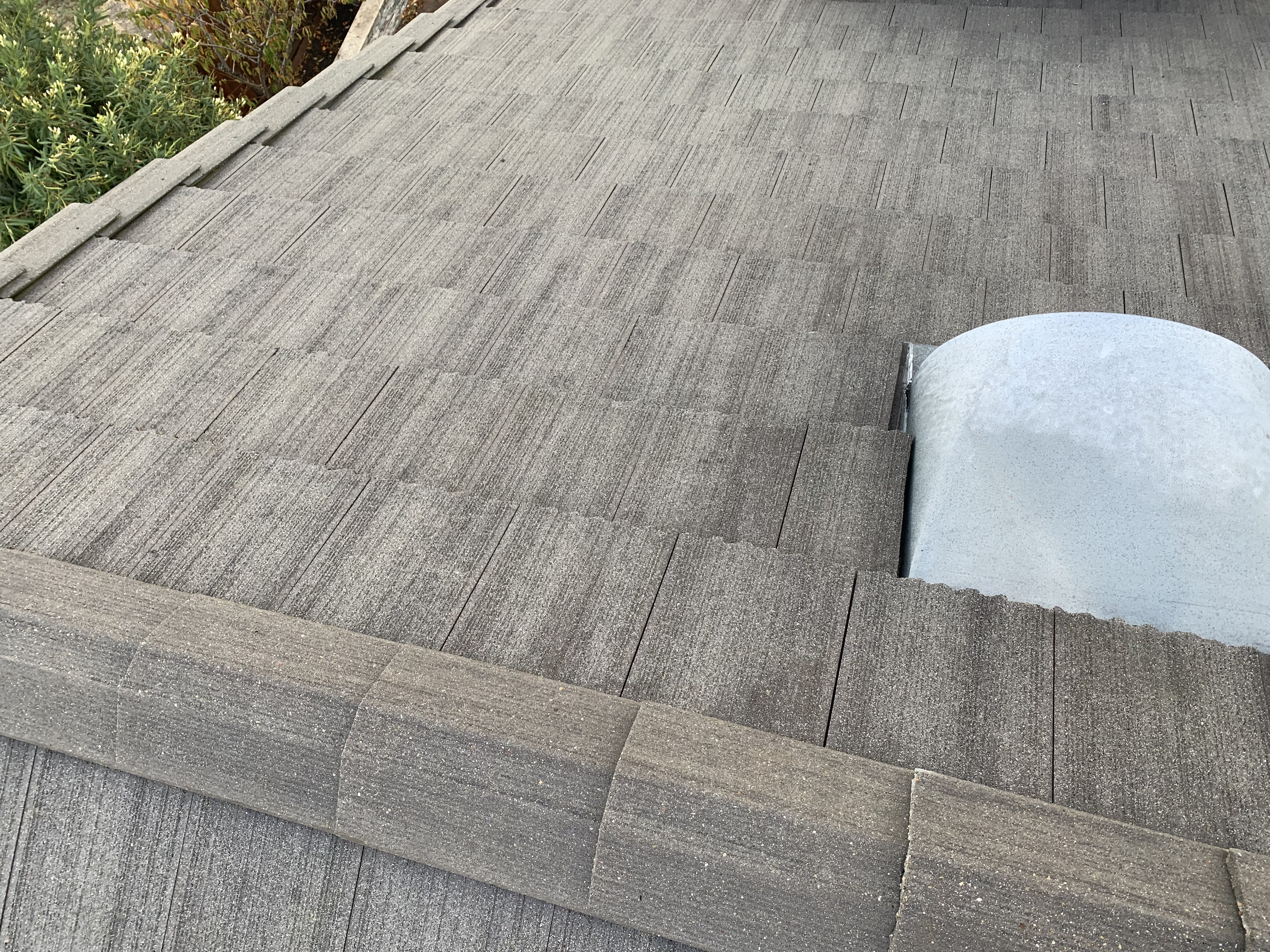 After — Wide view Milpitas roof fully cleaned and treated