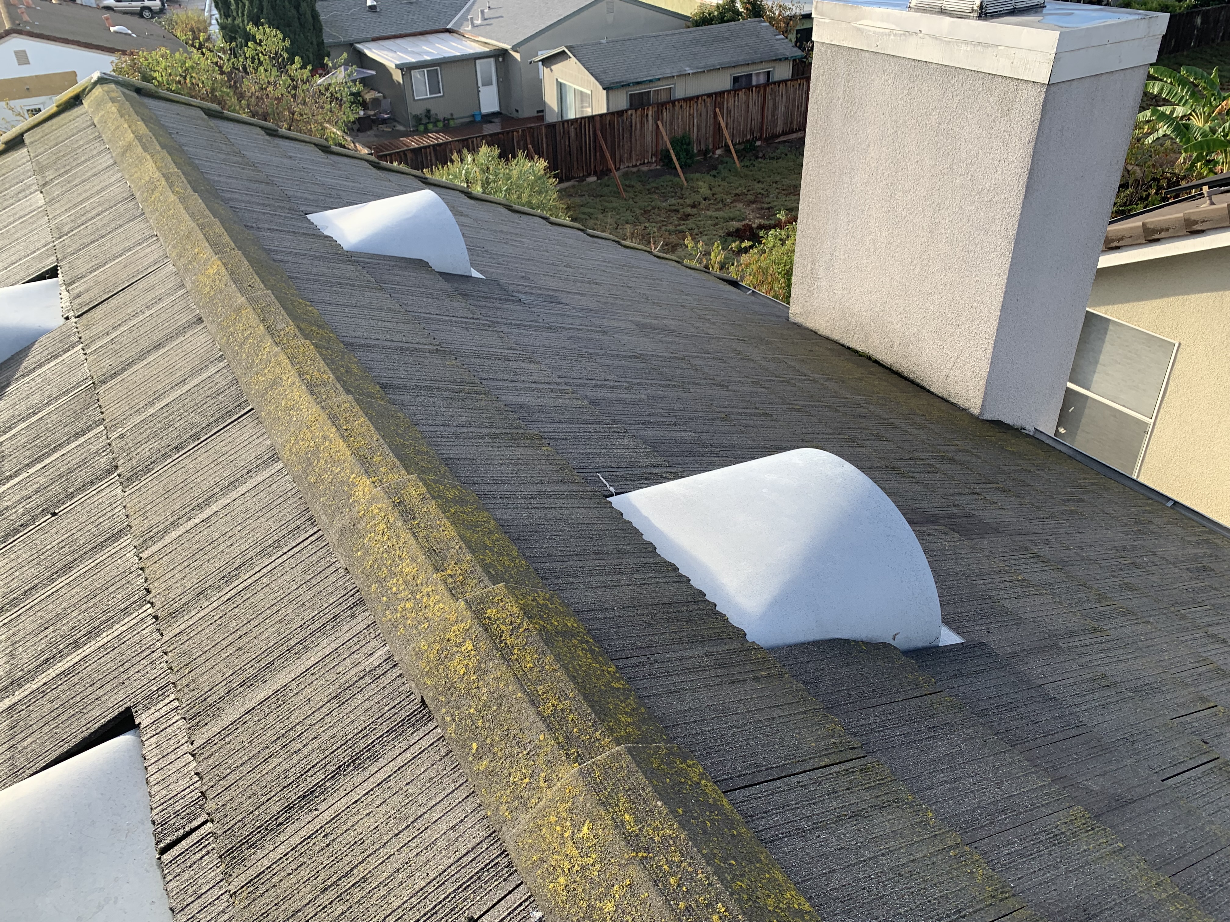Before — North-facing Milpitas roof plane with heavy moss