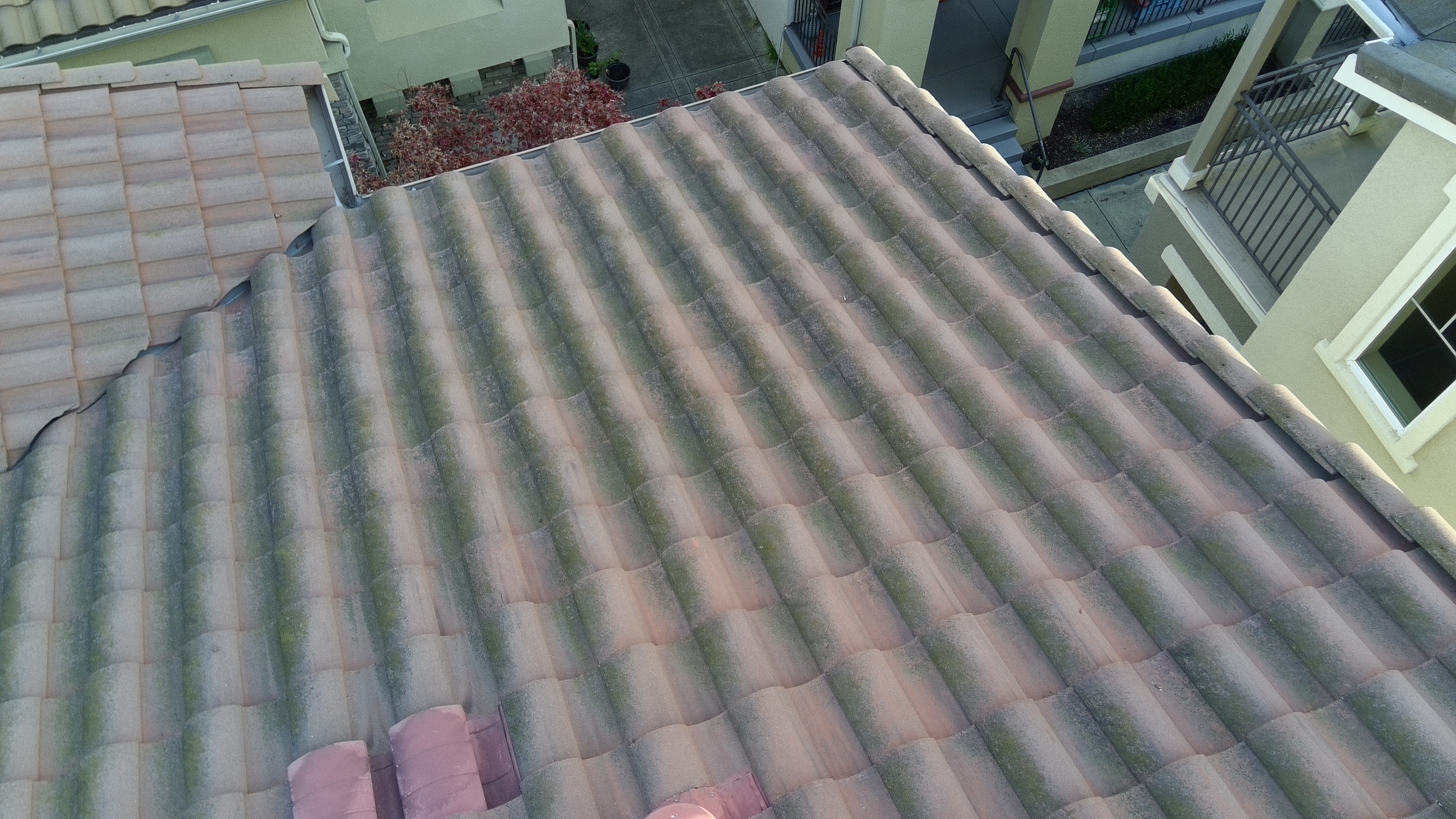 Before — Wide view Milpitas S-tile roof with widespread algae coverage
