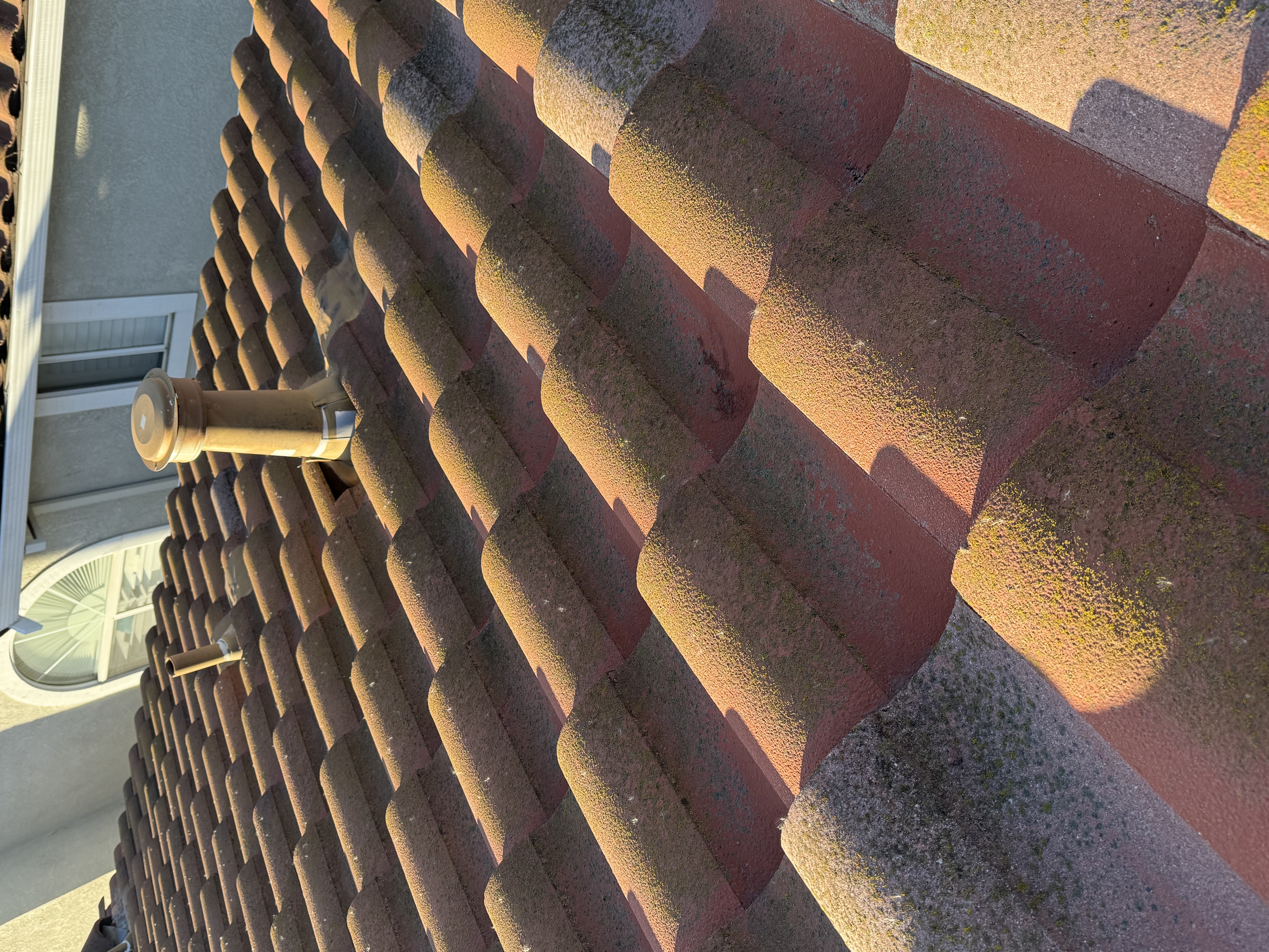 Before — Milpitas townhouse S-tile roof with algae and moss buildup