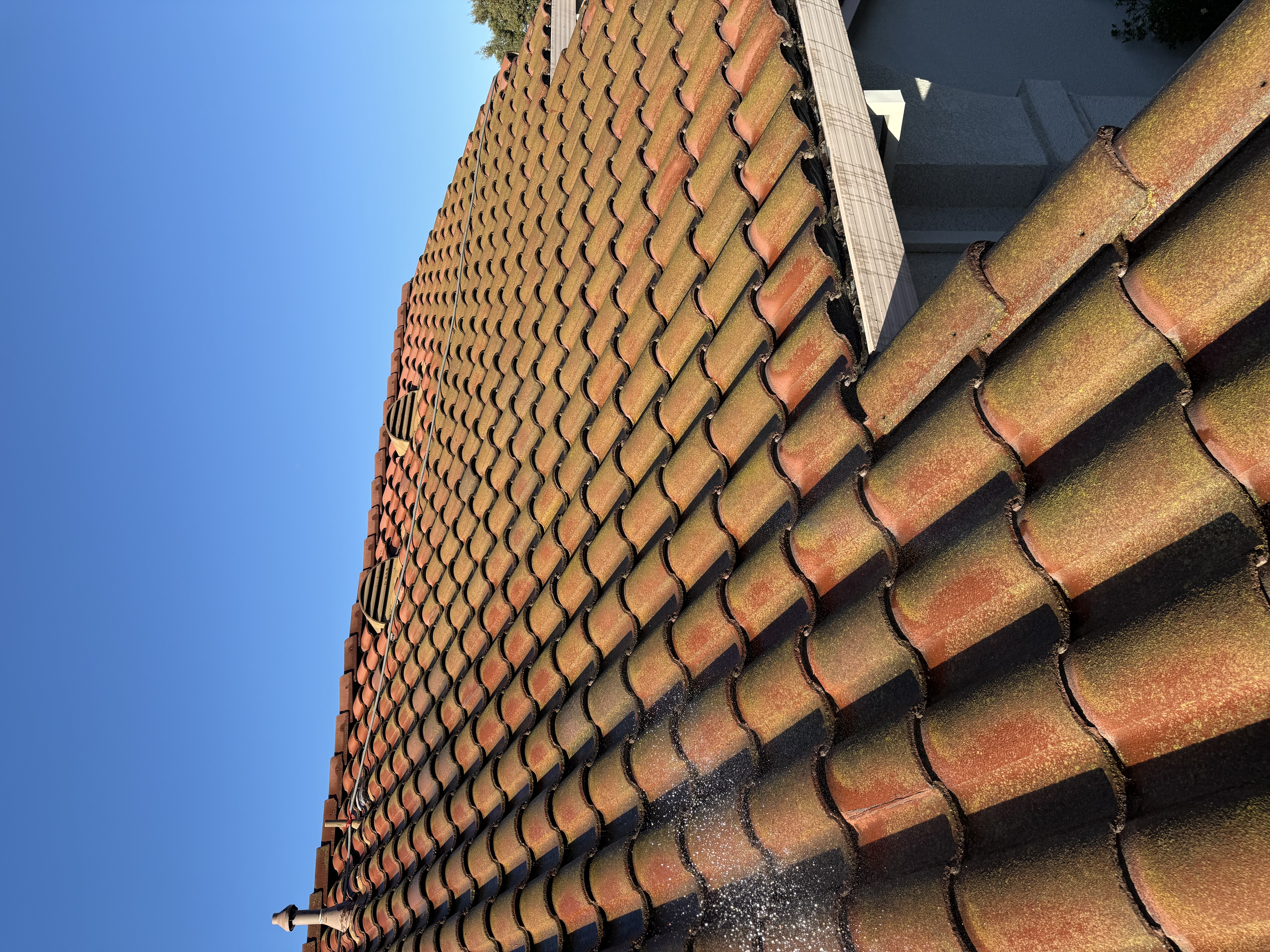 Before — Milpitas townhouse S-tile roof with heavy organic growth