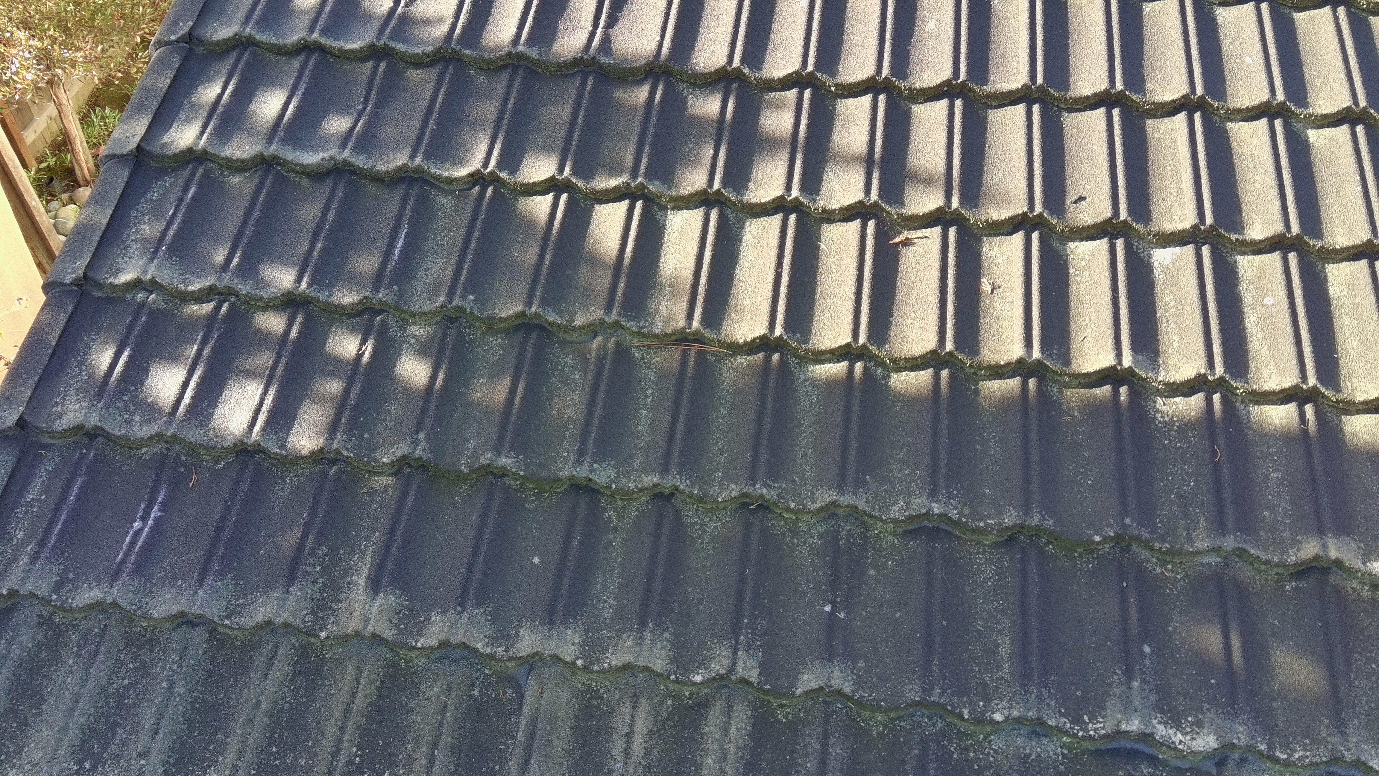 Before — Monte Sereno roof tiles showing lichen colonization