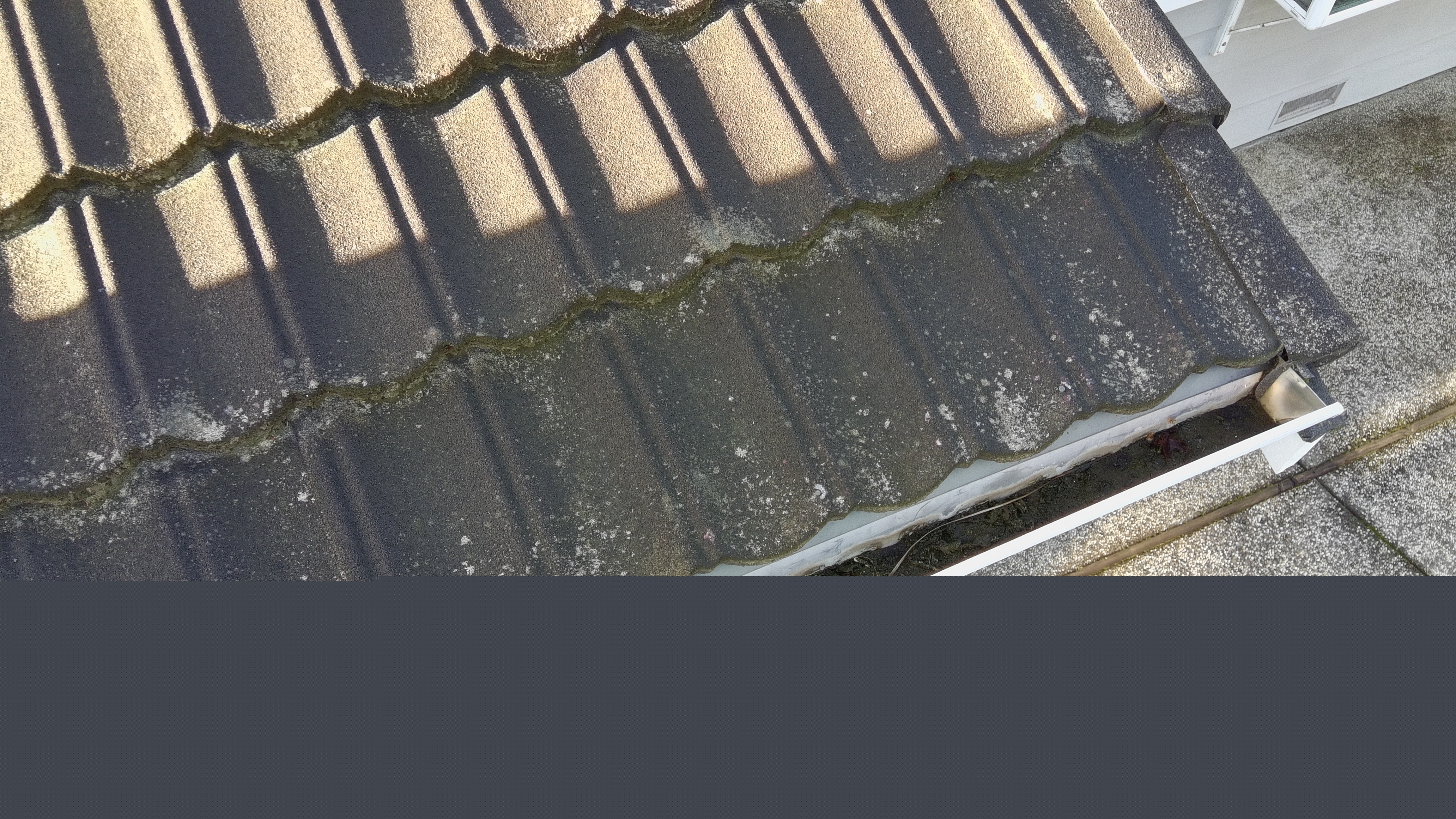 Before — Monte Sereno roof with thick biological growth before cleaning