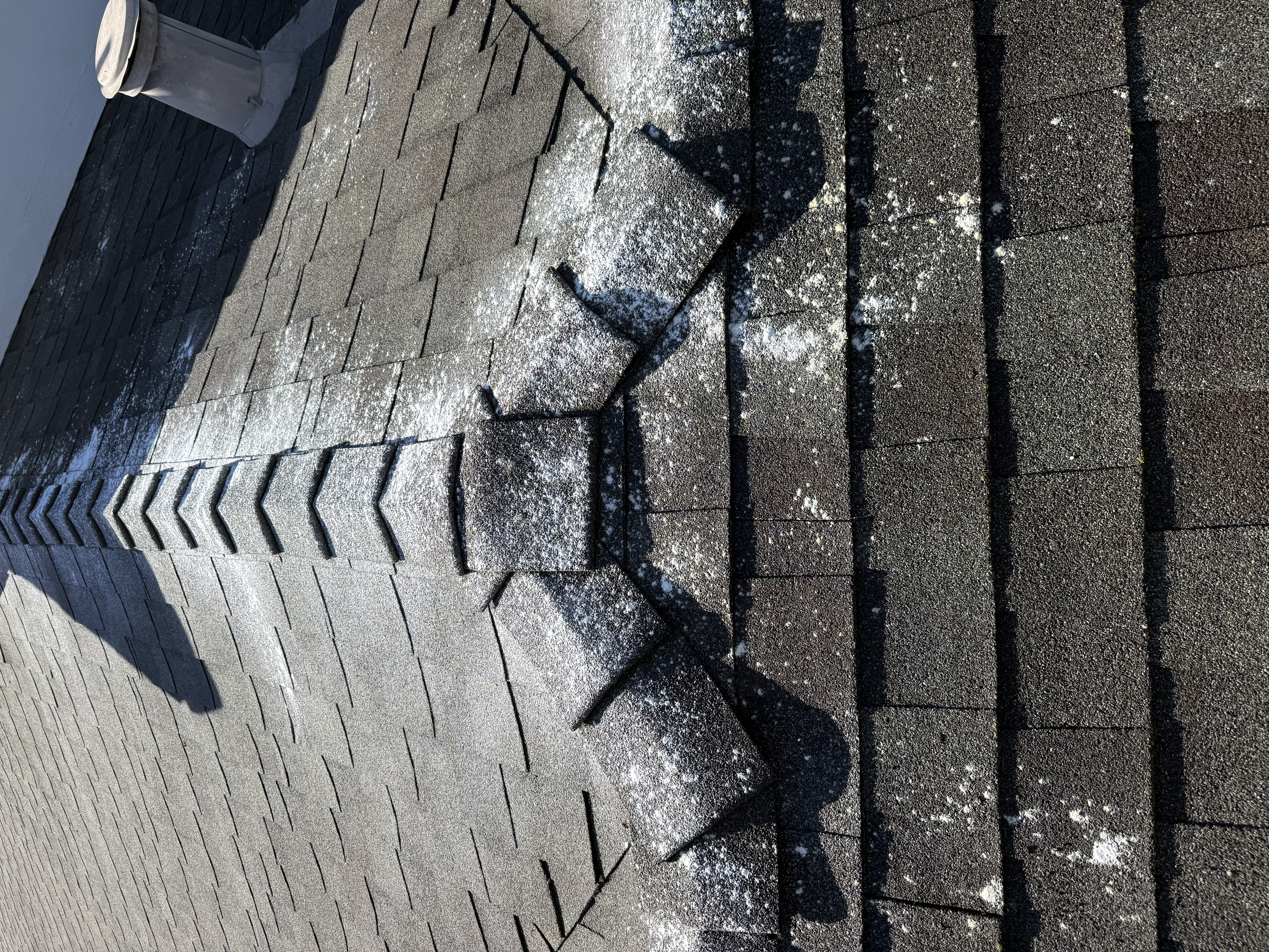 After — Mountain View shingle roof with algae removed, zinc strips at ridge