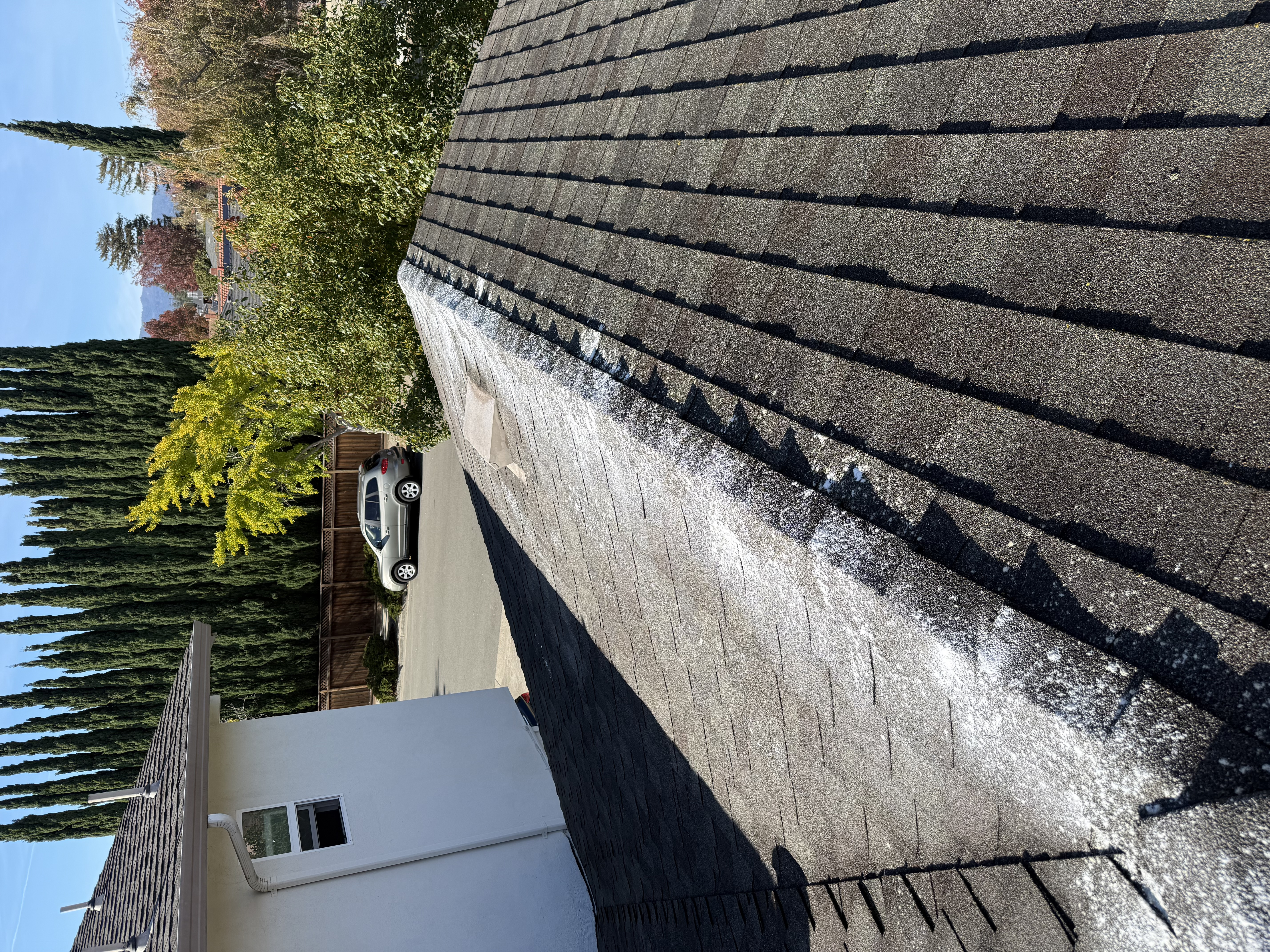 After — Mountain View roof washed clean, biological growth eliminated