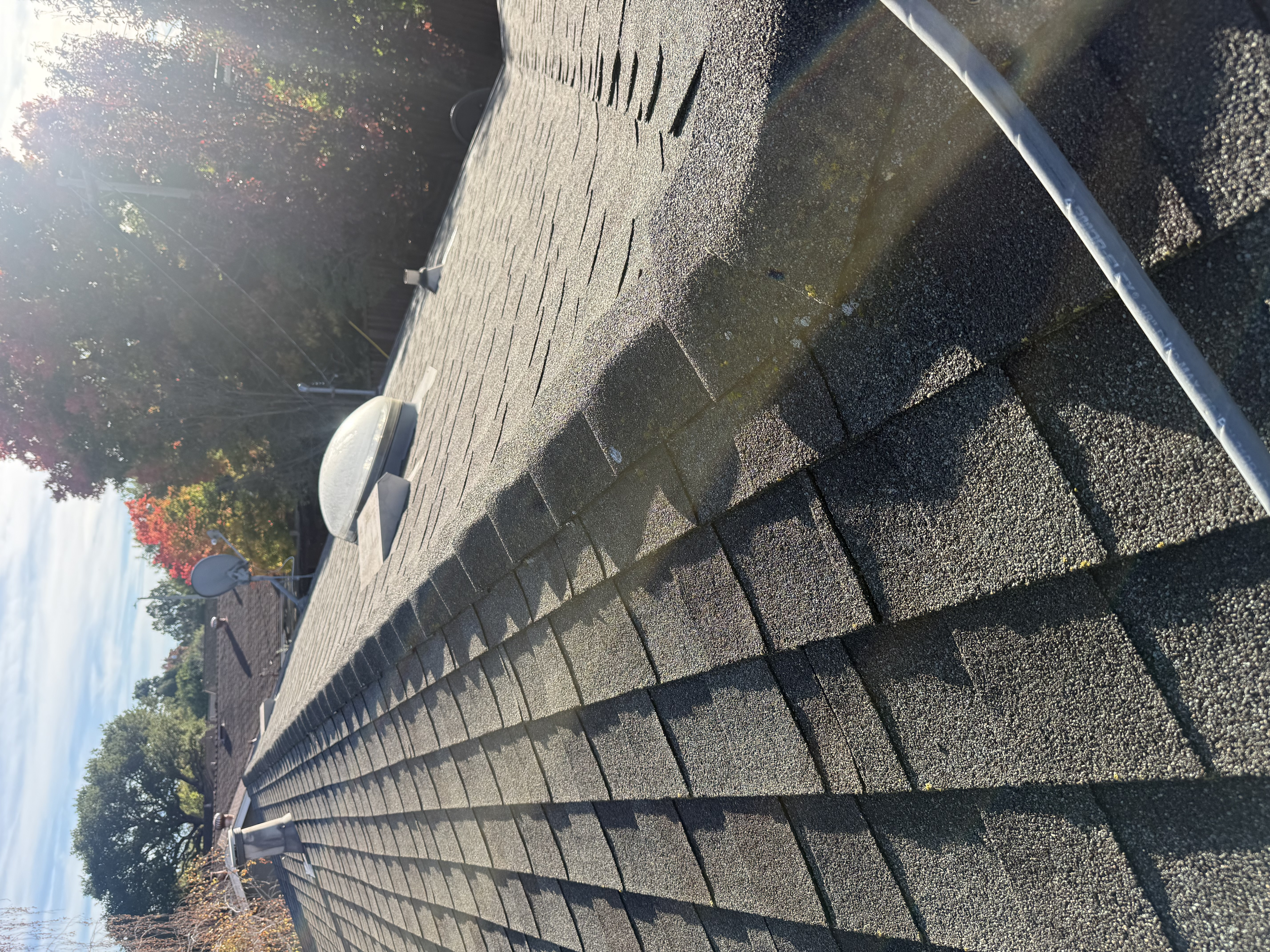 Before — Mountain View shingle roof with moss and algae growth