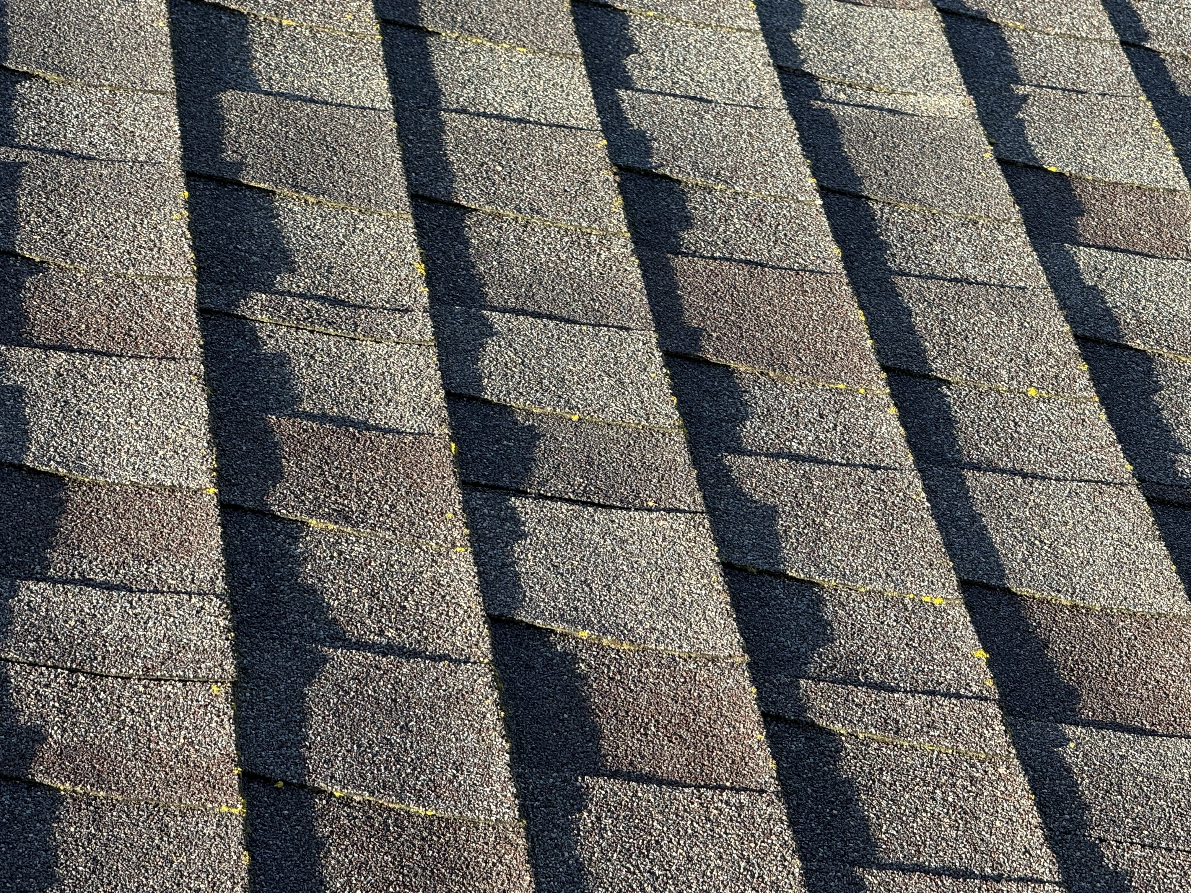 Before — Mountain View asphalt shingle roof before soft wash treatment