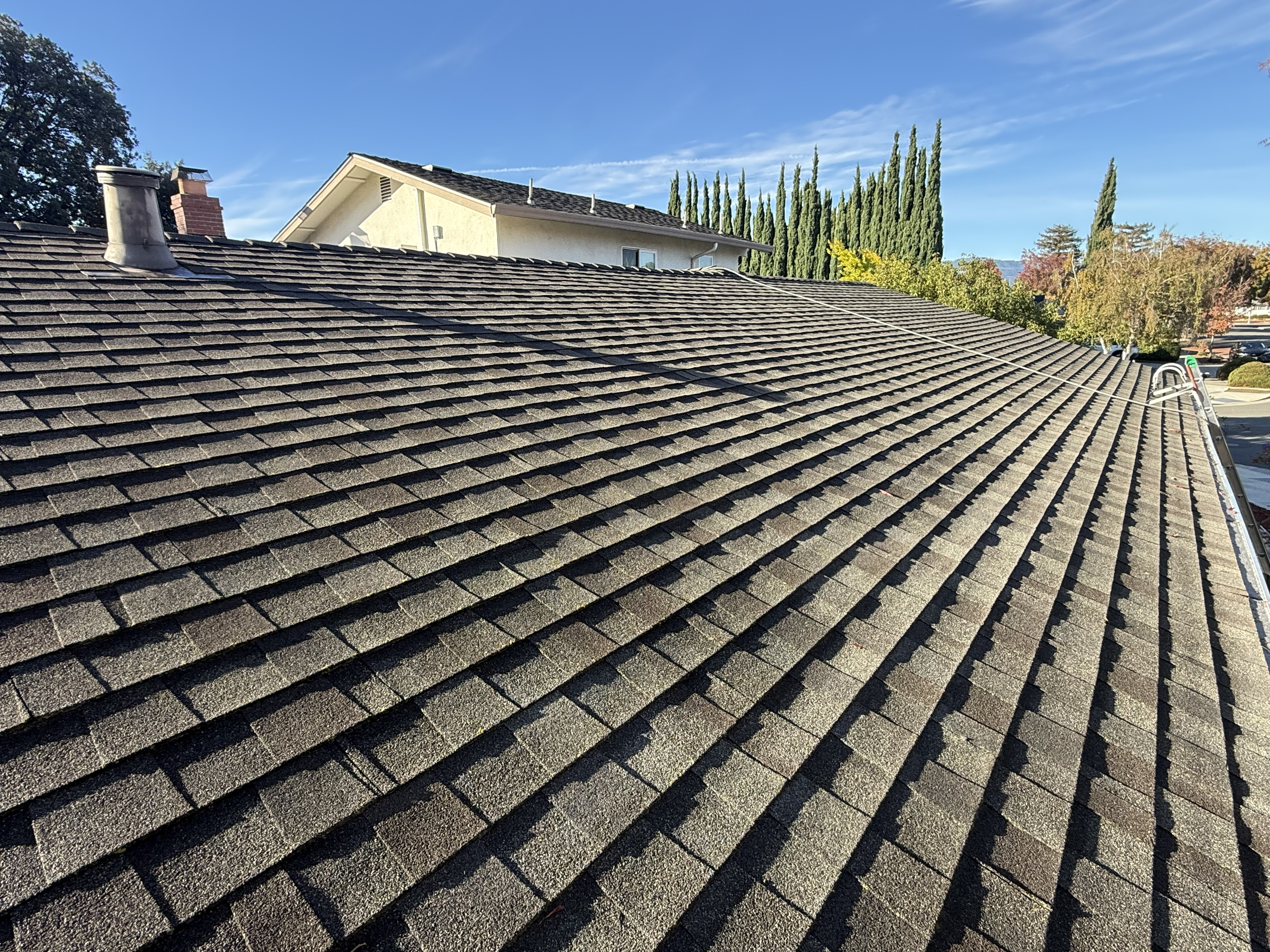 Before — Mountain View shingle roof with heavy algae and biological growth