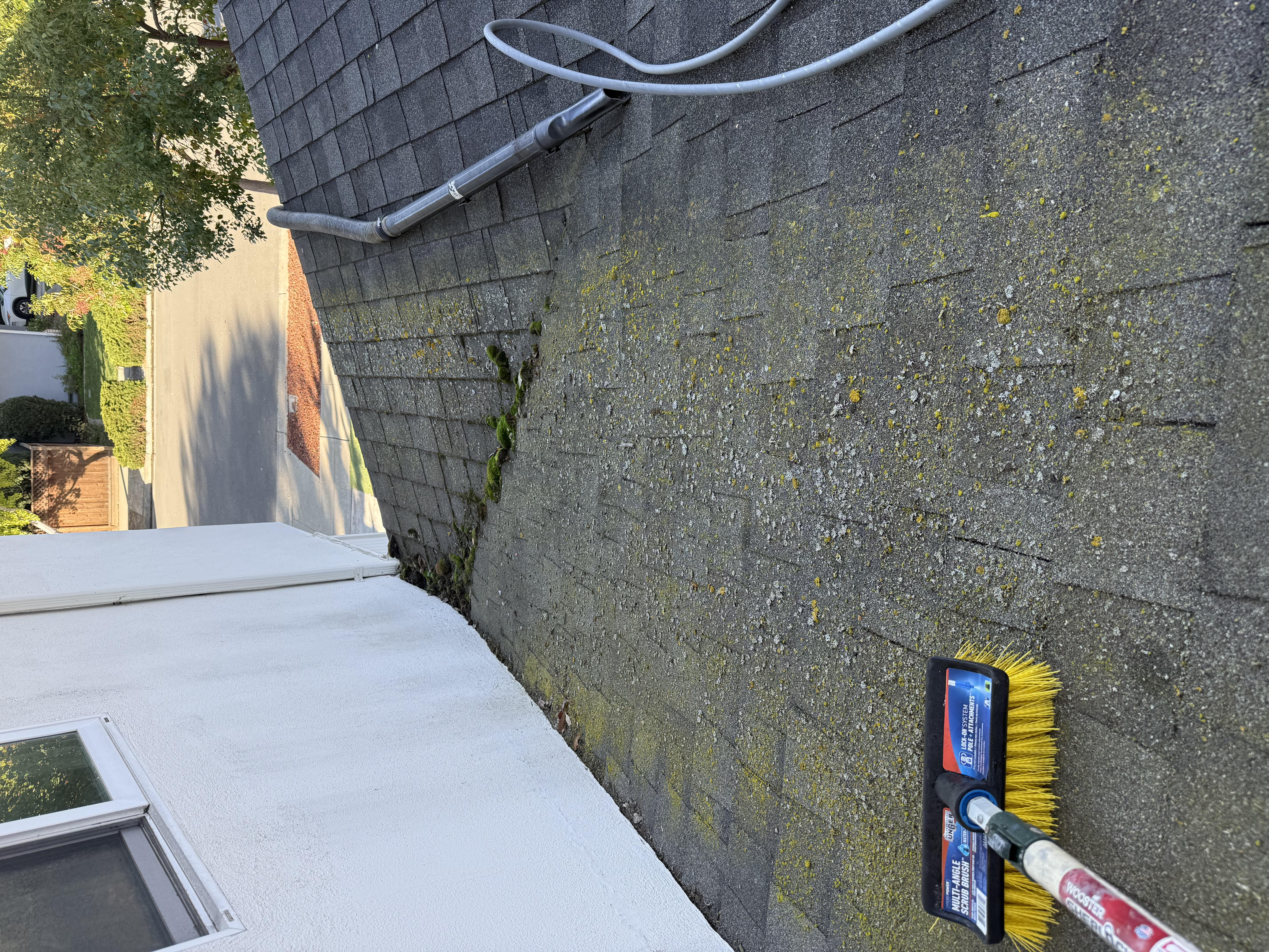 Before — Mountain View roof surface with lichen and moss before cleaning